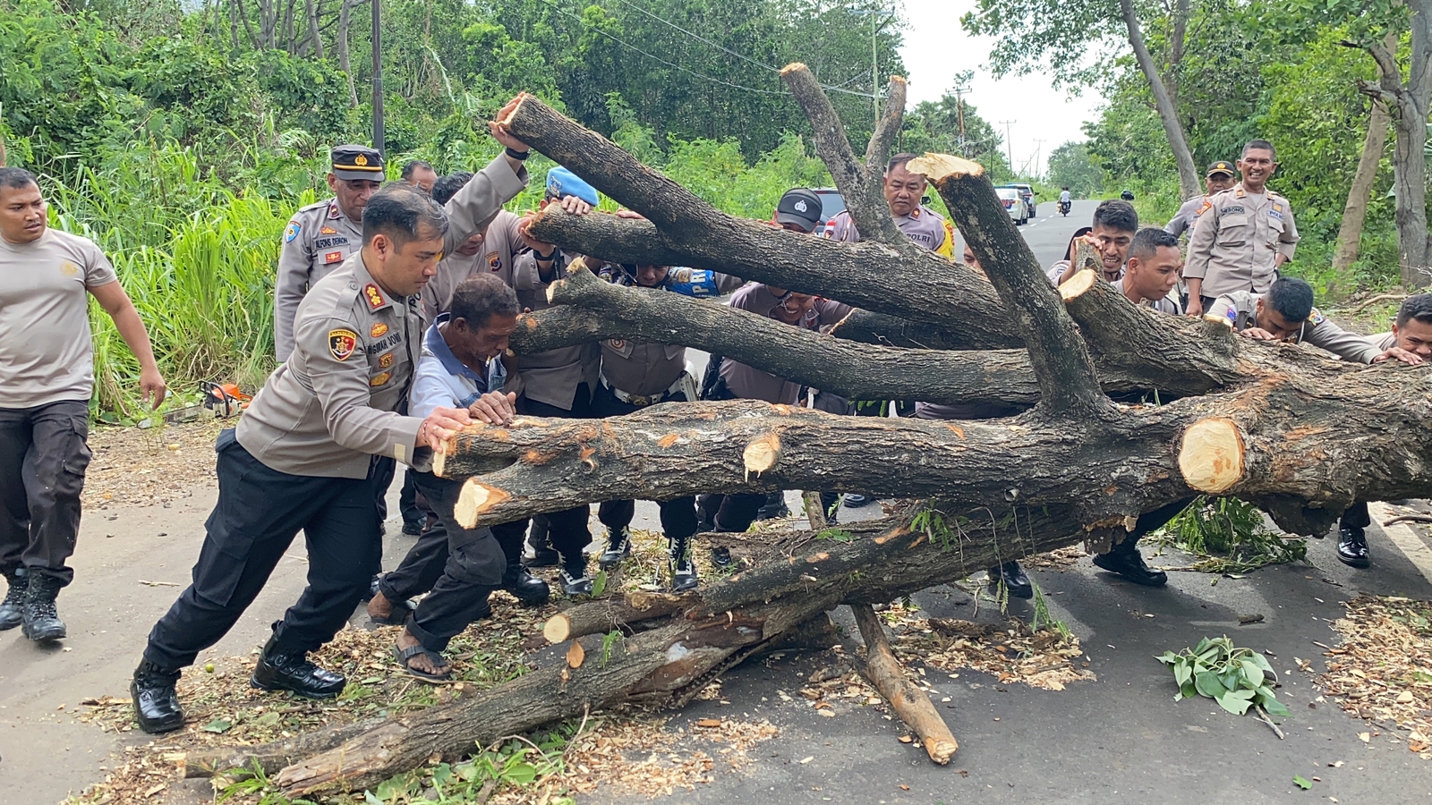 Kapolres Flotim AKBP I Gede Ngurah Joni Mahardika  bersama jajaran  memindahkan pohon tumbang di salah satu ruas jalan di Kota Larantuka.