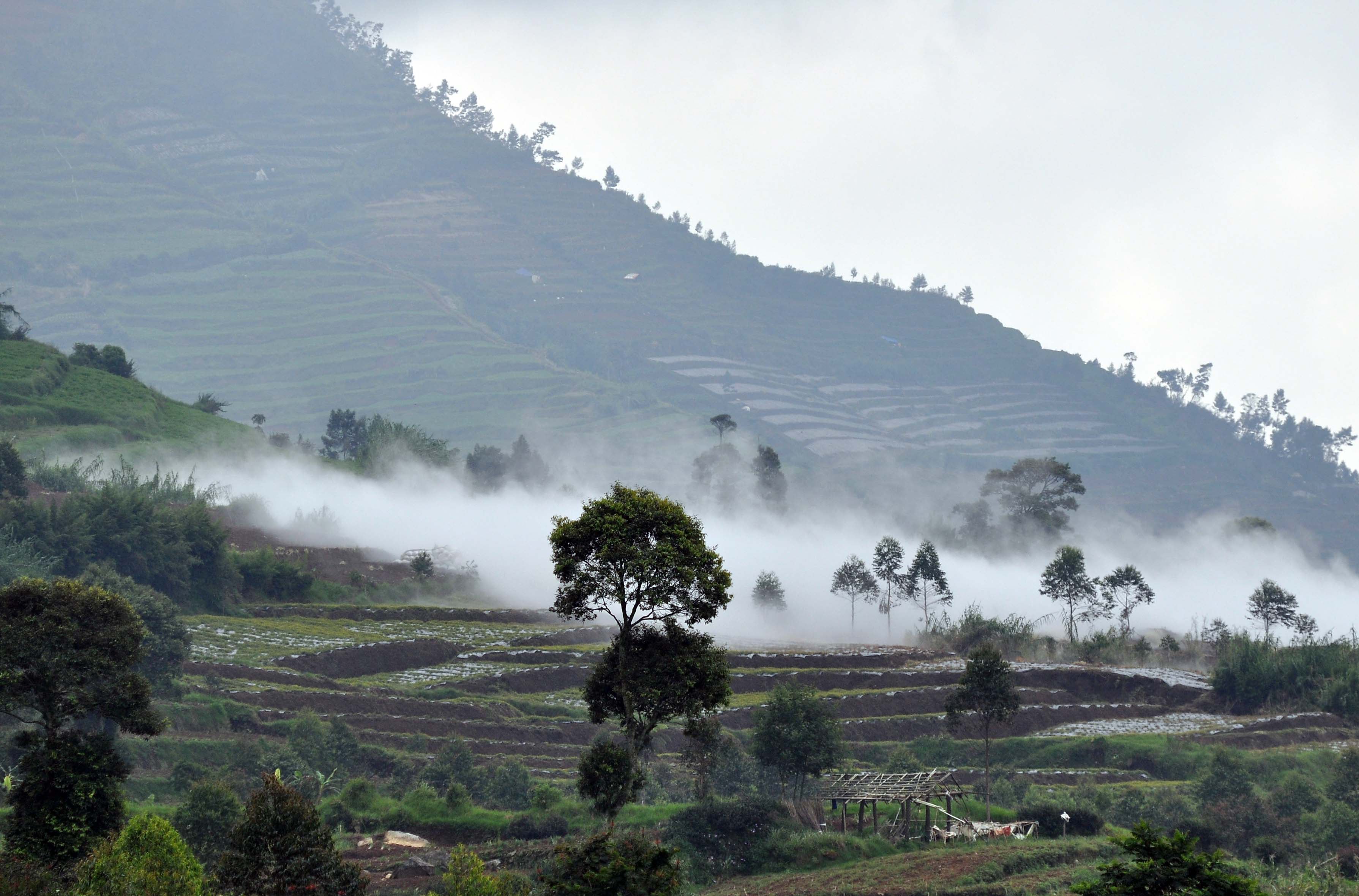 Ilustrasi asap putih di permukaan kawah timbang, Gunung Dieng