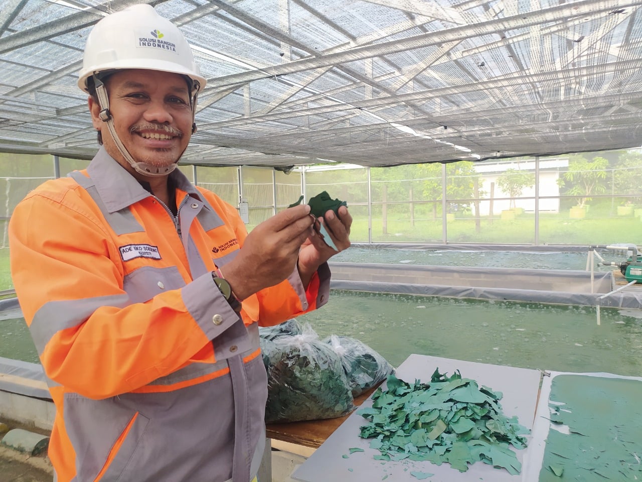 Karyawan menunjukkan hasil panen budidaya mikroalga di area Pabrik SBI di Cilacap, Jawa Tengah.