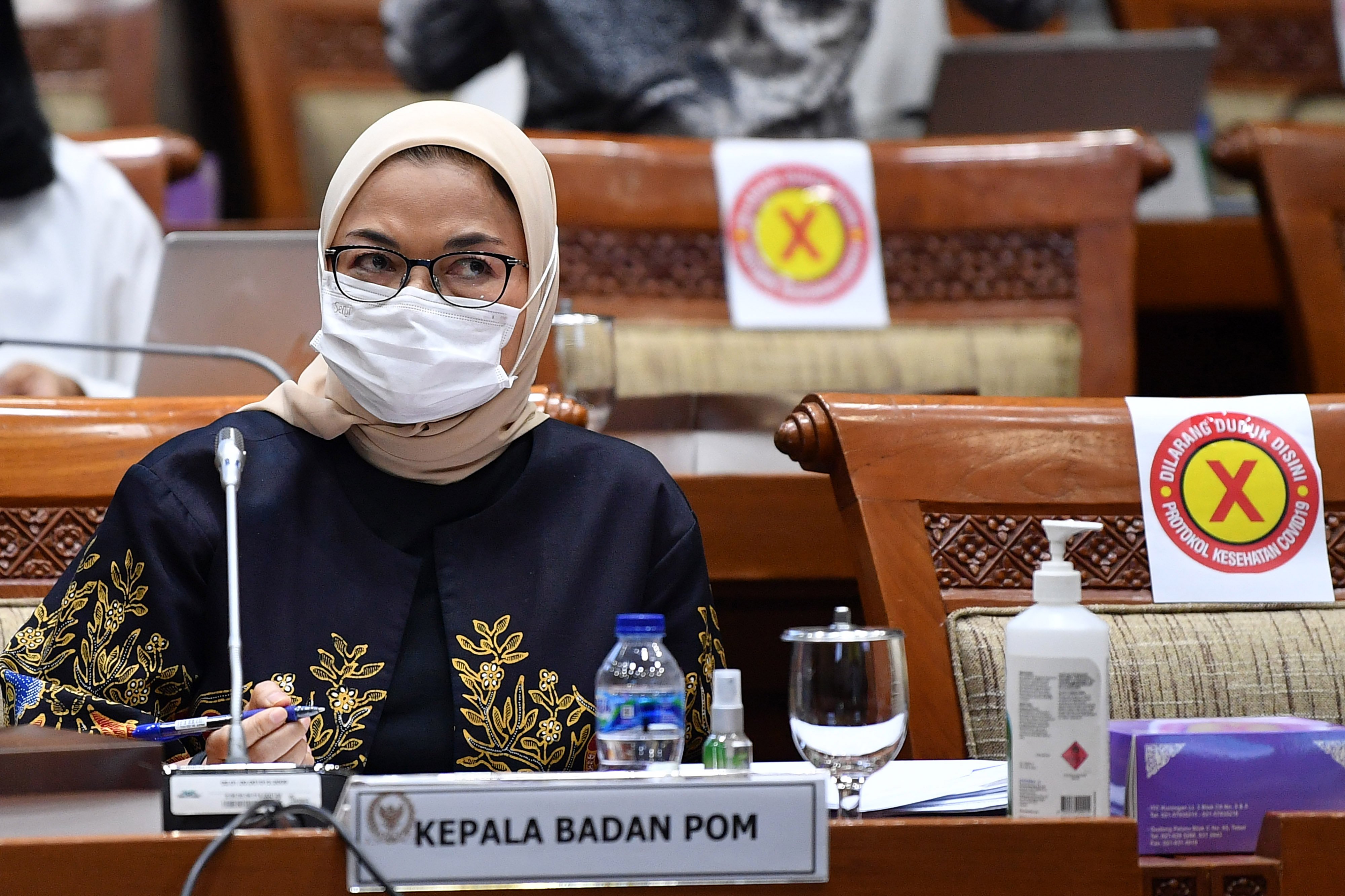 Kepala Badan POM Penny Lukito saat mengikuti rapat kerja dengan Komisi IX DPR.