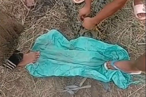 Buaya yang ditangkap warga.