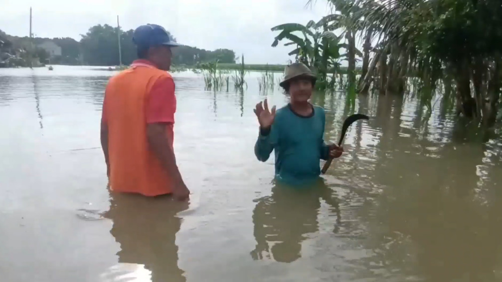 Petani Padi di Pati Terancam Rugi Puluhan Miliar