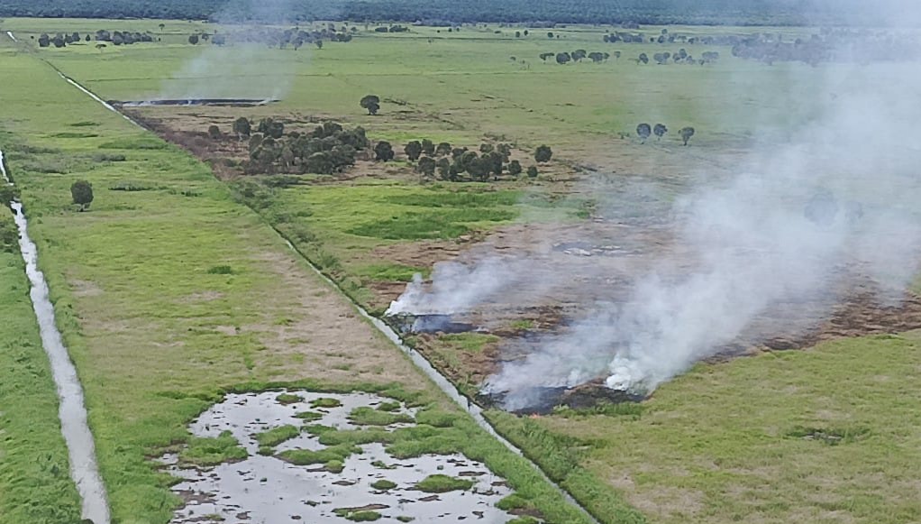 Pembakaran lahan untuk pertanian sekaligus membasmi hama dan menyuburkan lahan akan diizinkan di Kalsel, khusus petani padi.