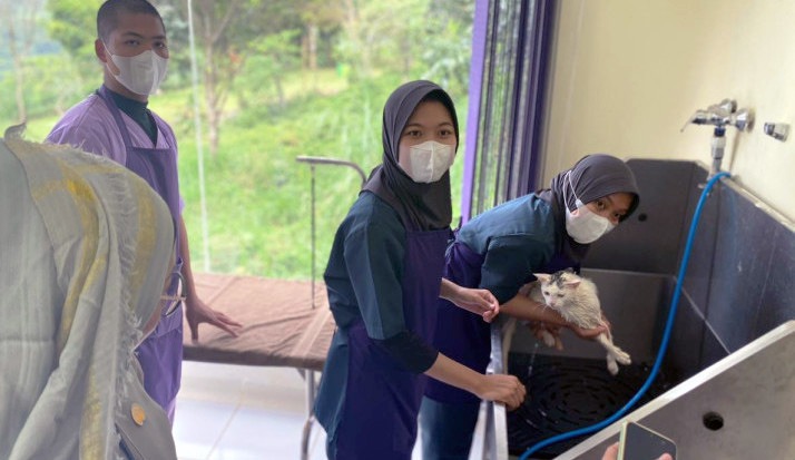 Didukung Program YESS, Cheerful Pet sediakan aneka kebutuhan hewan peliharaan.