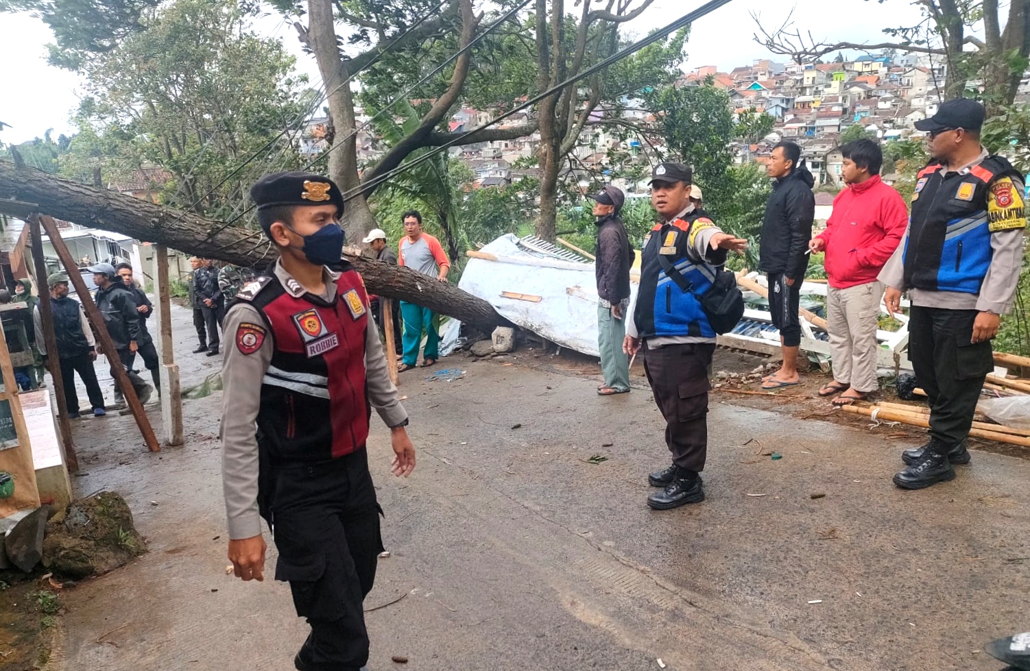  Pohon pinus menimpa warung di Jalan Gunung Putri Desa Jayagiri, Kecamatan Lembang, Kabupaten Bandung Barat, Selasa (28/2).