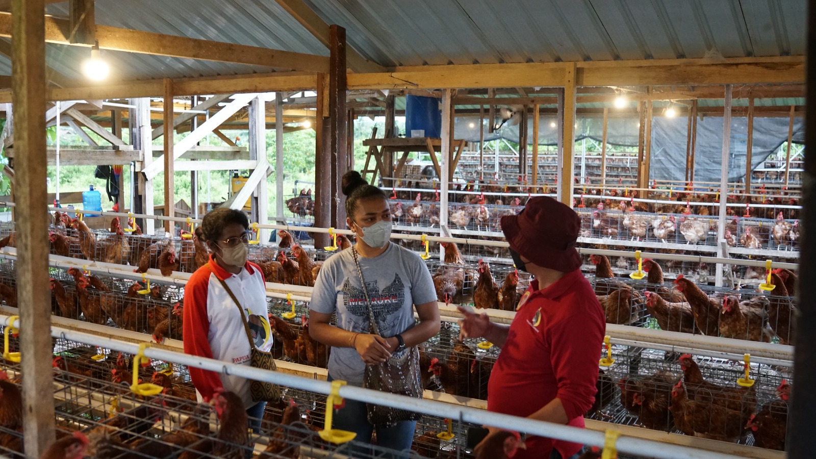 Maria Fransisca (tengah) menerima kunjungan Deputi IV Bidang Intelijen Ekonomi BIN, Made Kartikajaya, yang juga Pembina PMI, ke peternakan a