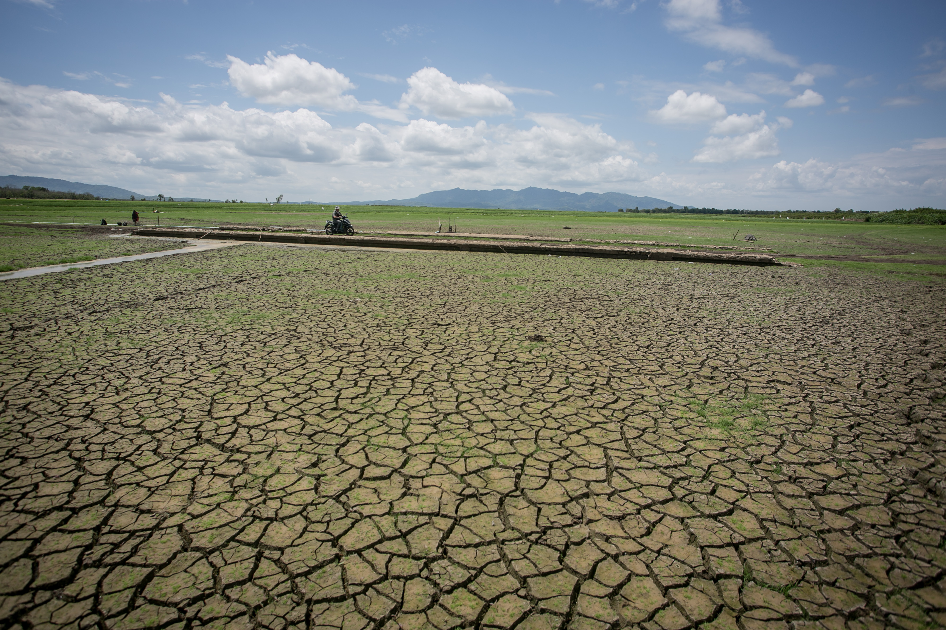 Ilustrasi tanah mengering