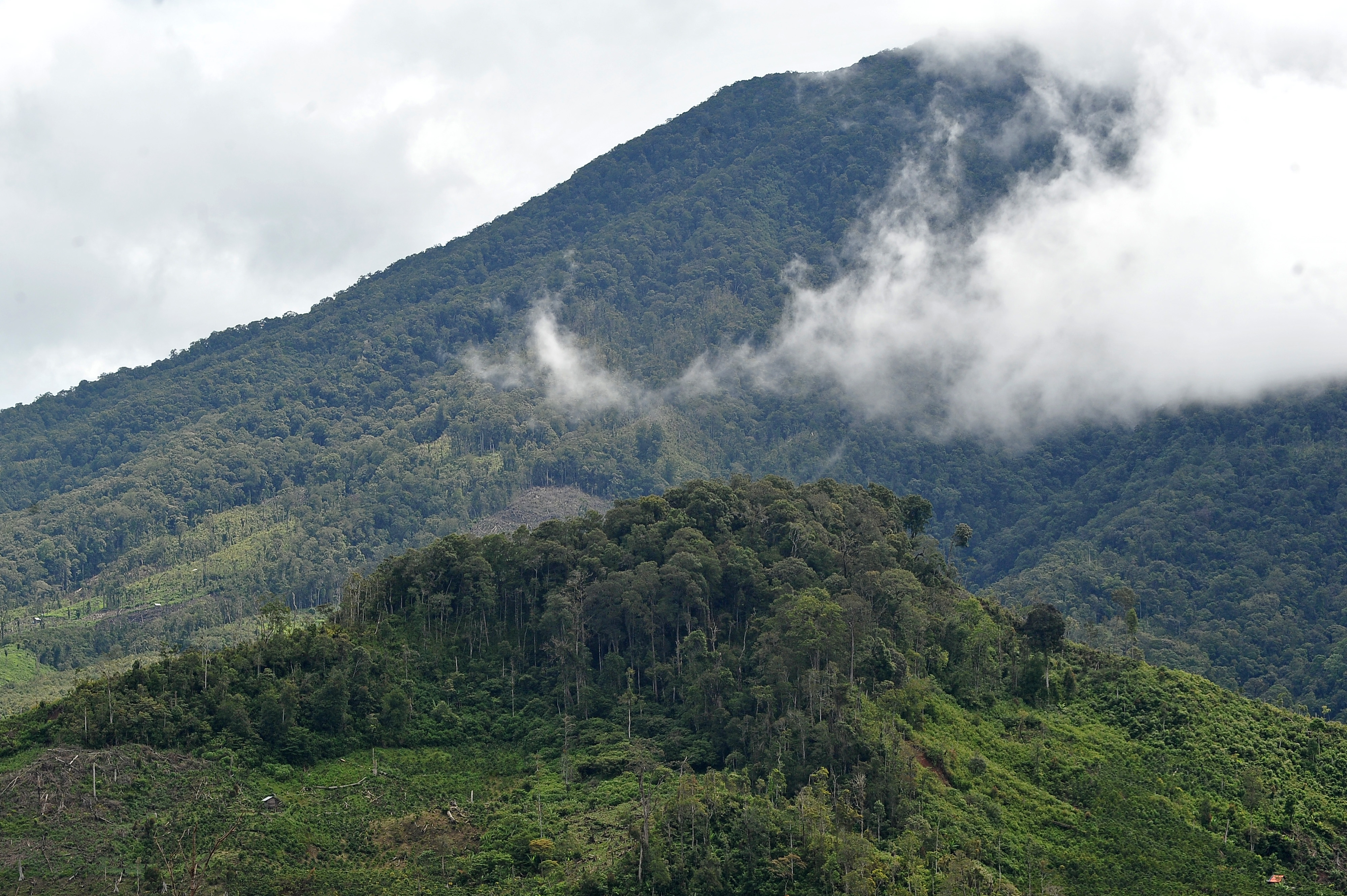 Potret area perbukitan di Kabupaten Kerinci, Jambi.