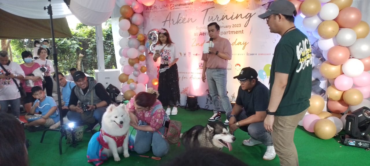 Perayaan HUT ke-2 Malamute Husky Indonesia