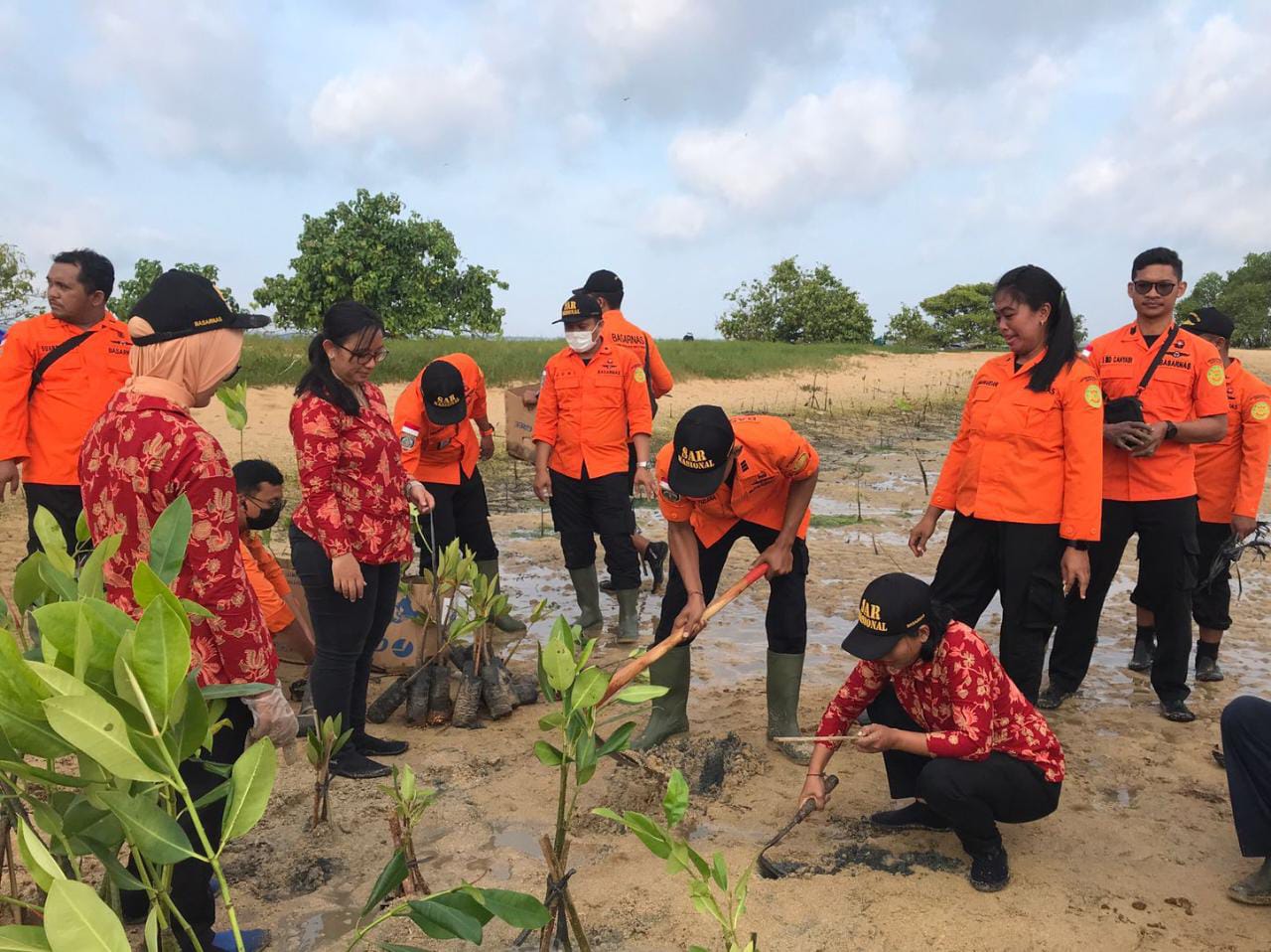Basarnas Bali bersama FKP3 Daerah Bali melakukan penanaman 500 anakan tanaman mangrove di Tanjung Benoa, Jumat (24/2).