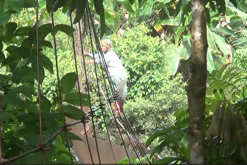 Petani nekat meniti jembatan gantung yang rusak.