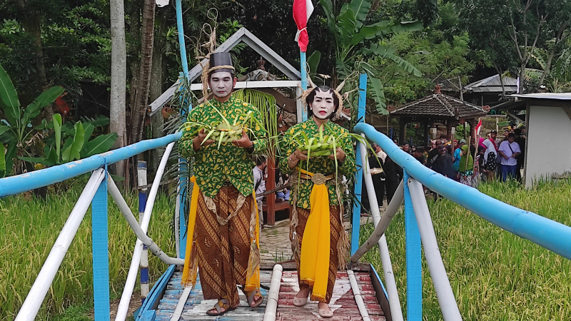 Ilustrasi: penari Loro Blonyo memimpin prosesi budaya Gropyokan Omo Padi di Desa Gentungan yang akan melaksanakan panen raya.