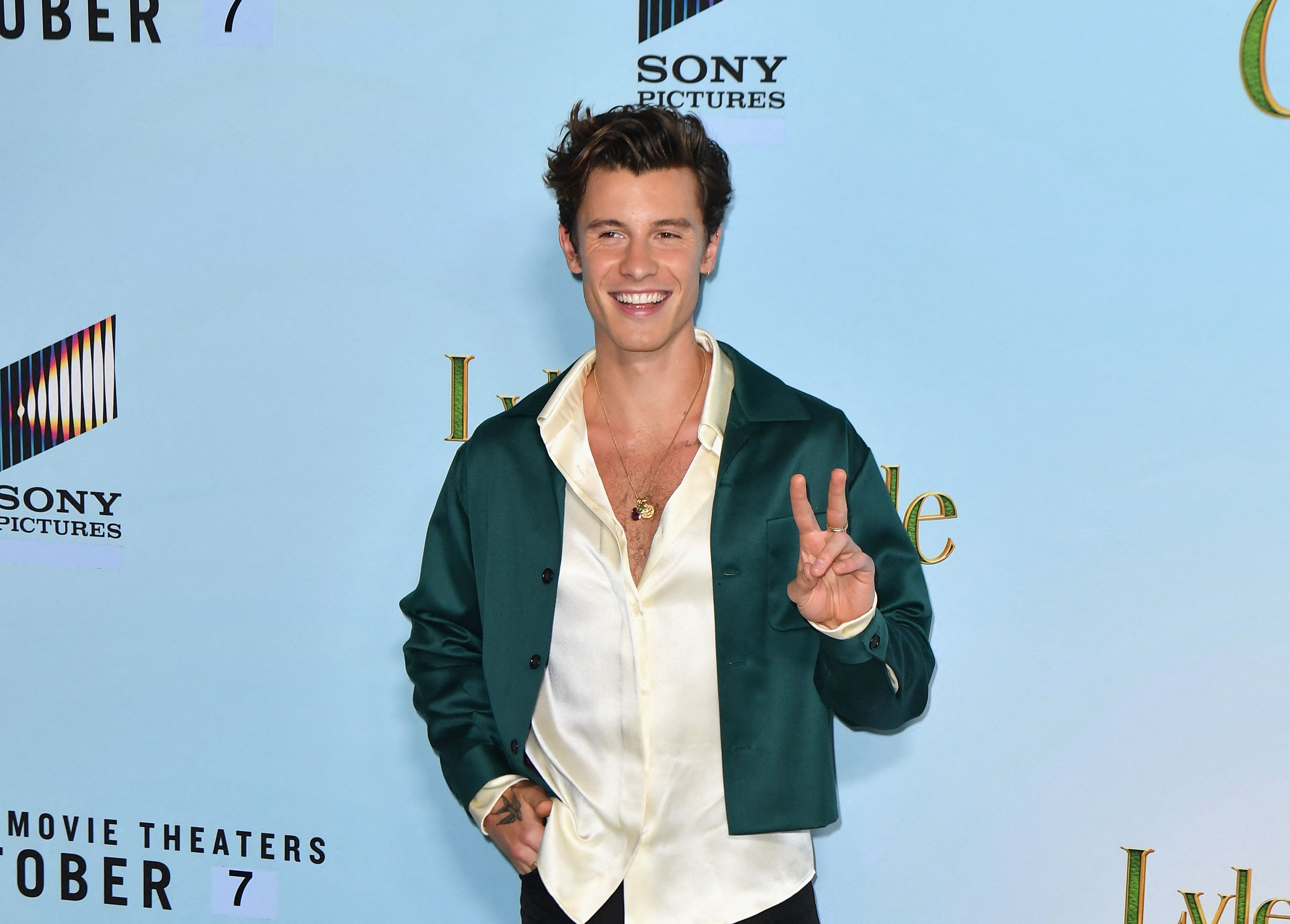 Penyanyi Shawn Mendes.