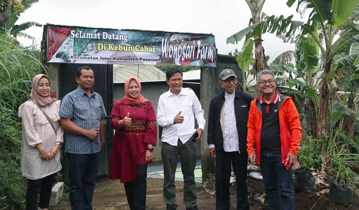 Petani Milenial Binaan Kementan Kawal Stok Cabai Surabaya Raya