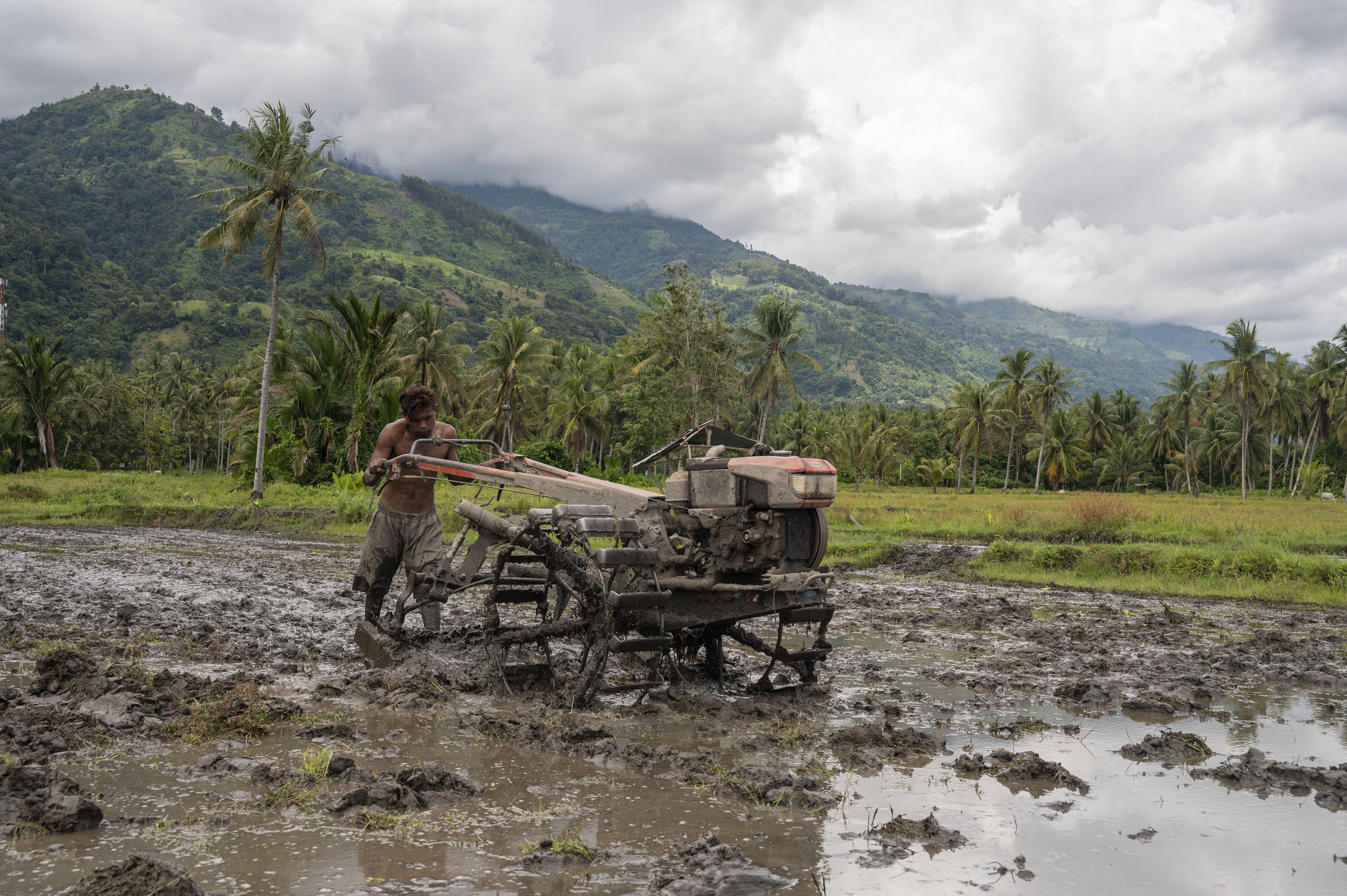 Petani membajak sawah dengan menggunakan traktor tangan di desa wilayah Sulawesi Tengah.