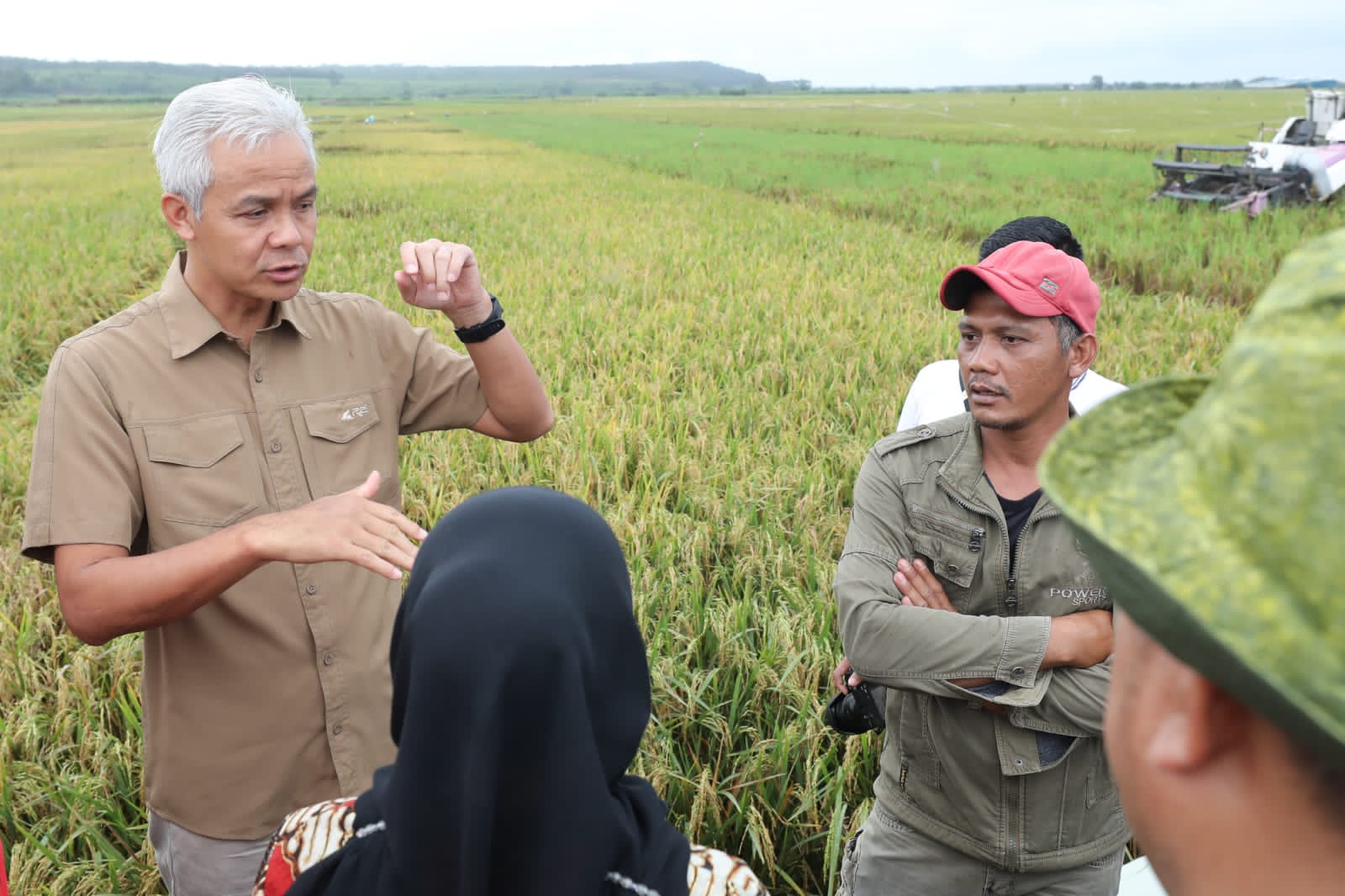 Gubernu Jawa Tengah Ganjar Pranowo meninjau langsung panen padi di Desa Krengseng, Gringsing, Kabupaten Batang, Jateng. 
