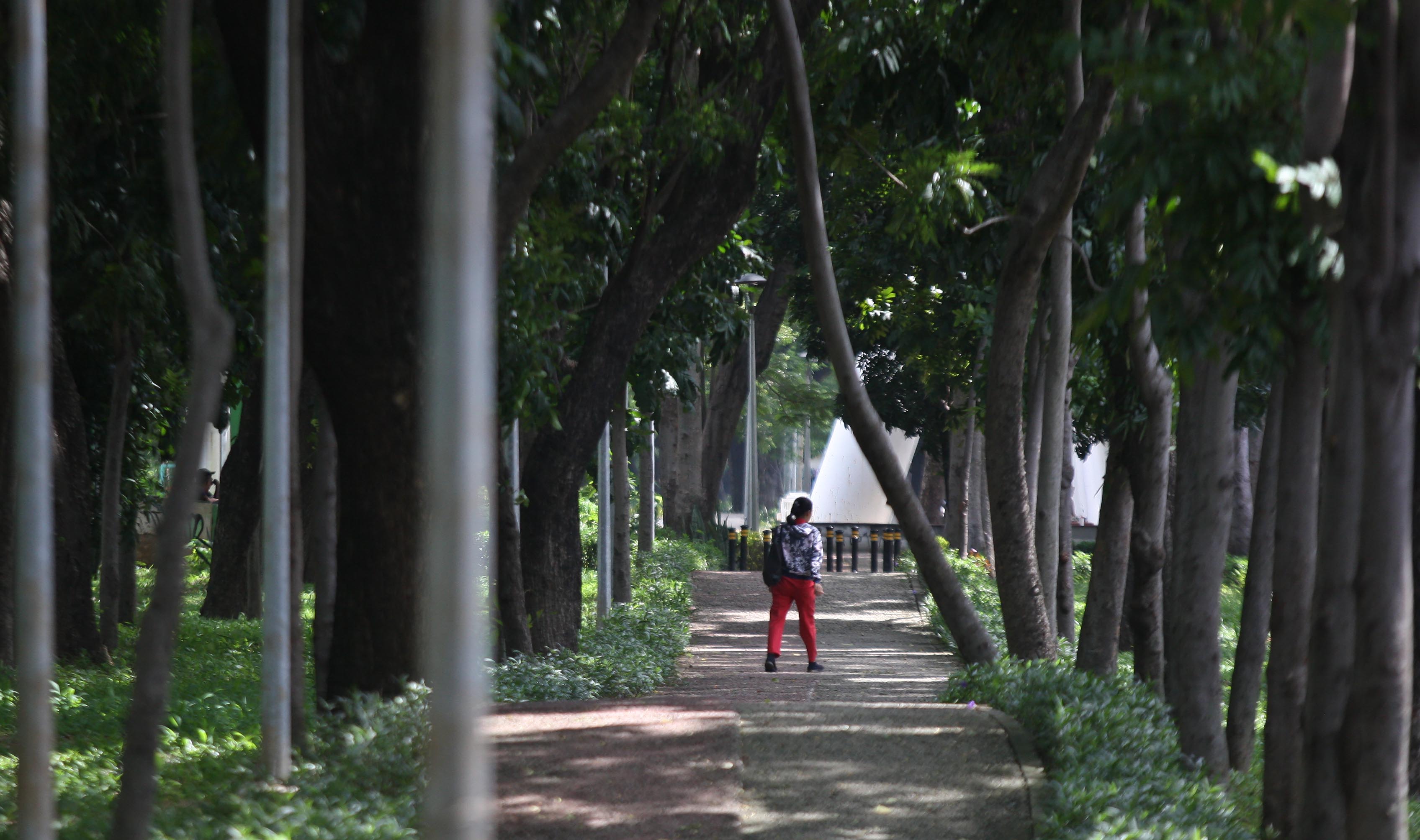 Ilustrasi: Warga berjalan di kawasan hutan kota di Kemayoran, Jakarta Pusat,