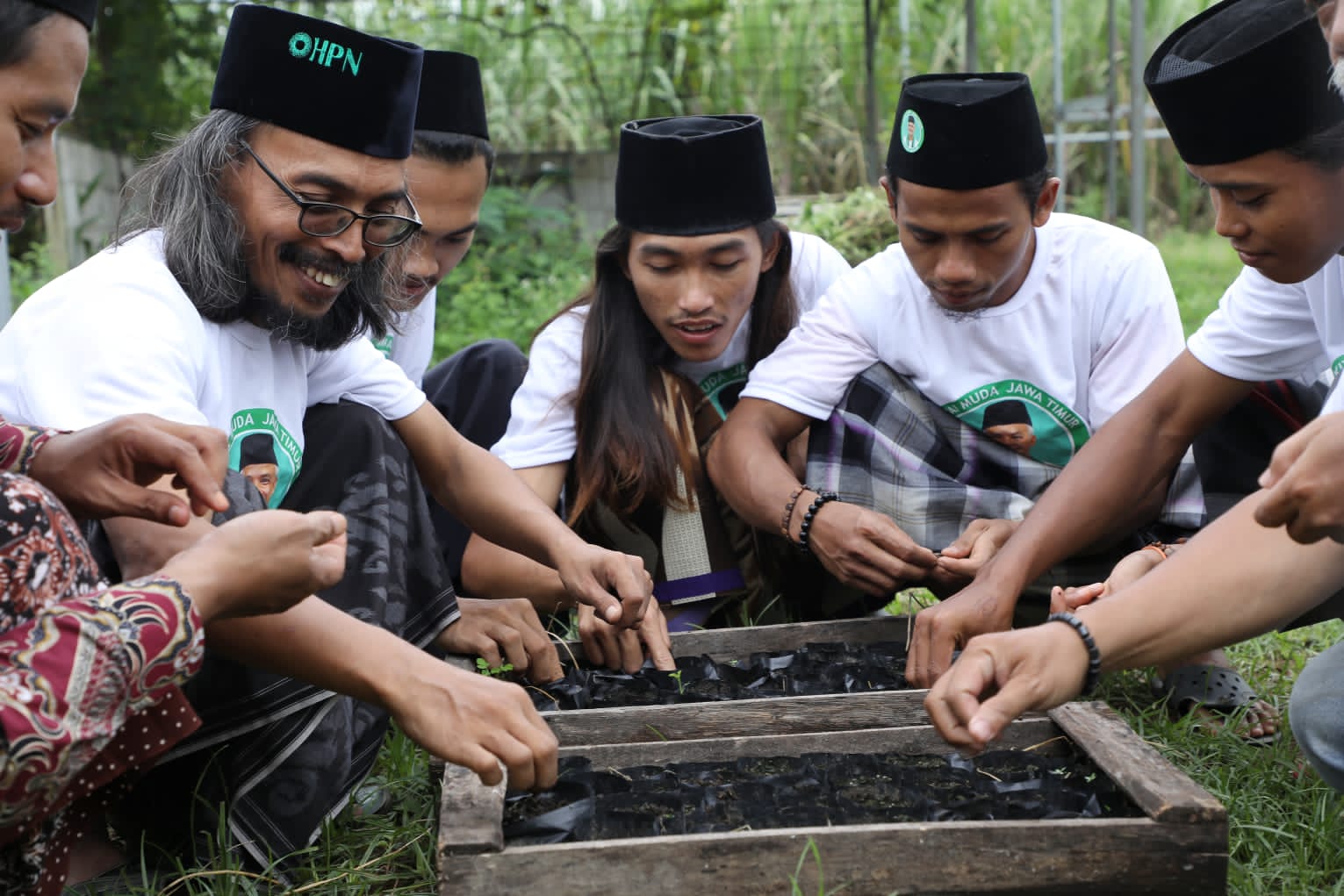 Budidaya kacang sacha inchi di Pondok Pesantren (Ponpes) Fathul Ulum Jombang, Jawa Timur.