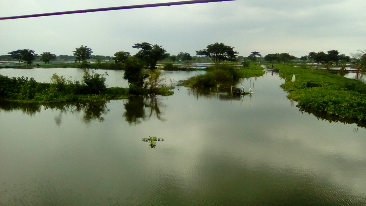Banjir luapan Sungai Bengawan Jero di Lamongan, Jawa Timur, yang kian meluas ke delapan kecamatan, Senin (27/2).