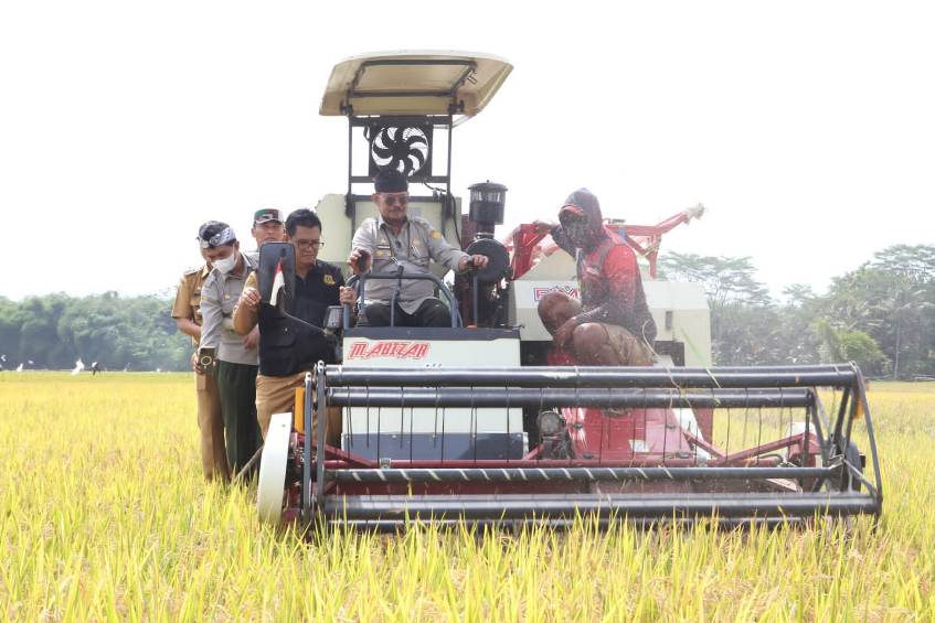 Mentan SYL menghadiri panen raya padi di Kabupaten Bogor, Jawa Barat, Senin (6/2). 