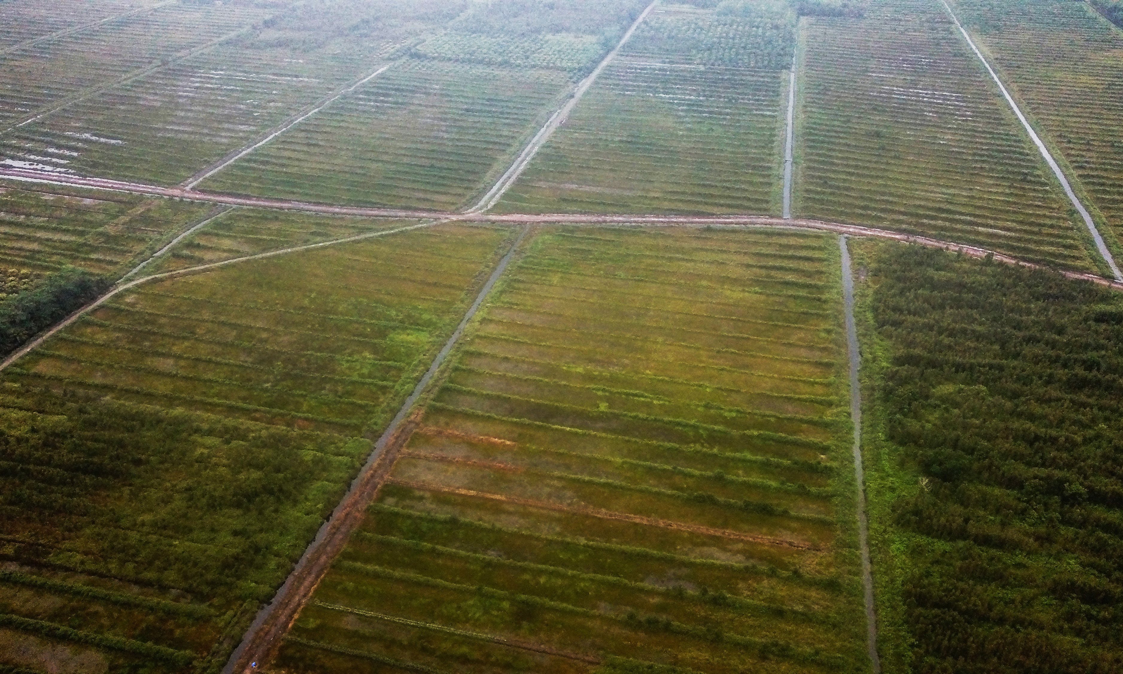 Foto udara jaringan irigasi untuk pertanian