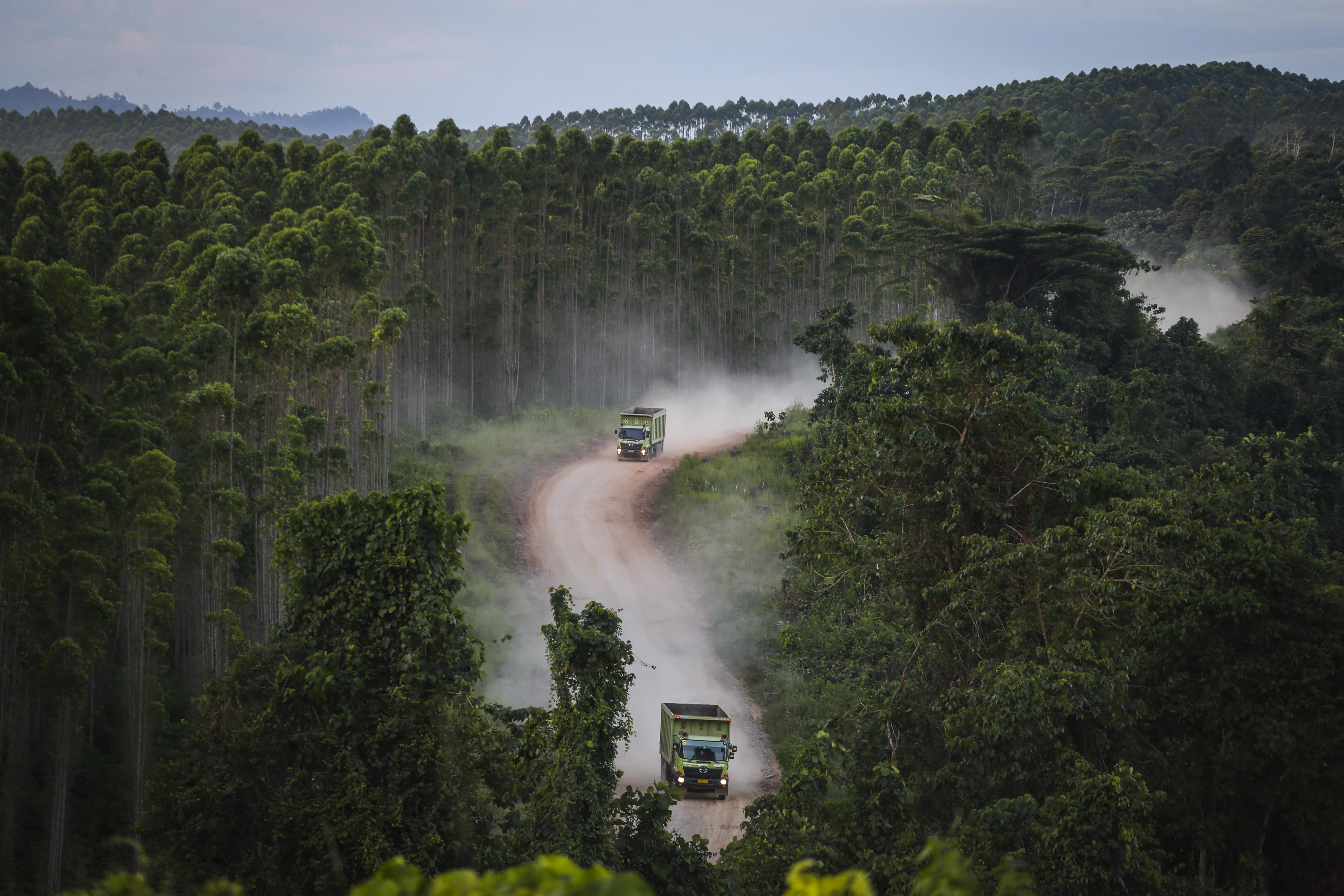 Potret truk melintasi wilayah lokasi pembangunan IKN Nusantara di Kalimantan Timur.
