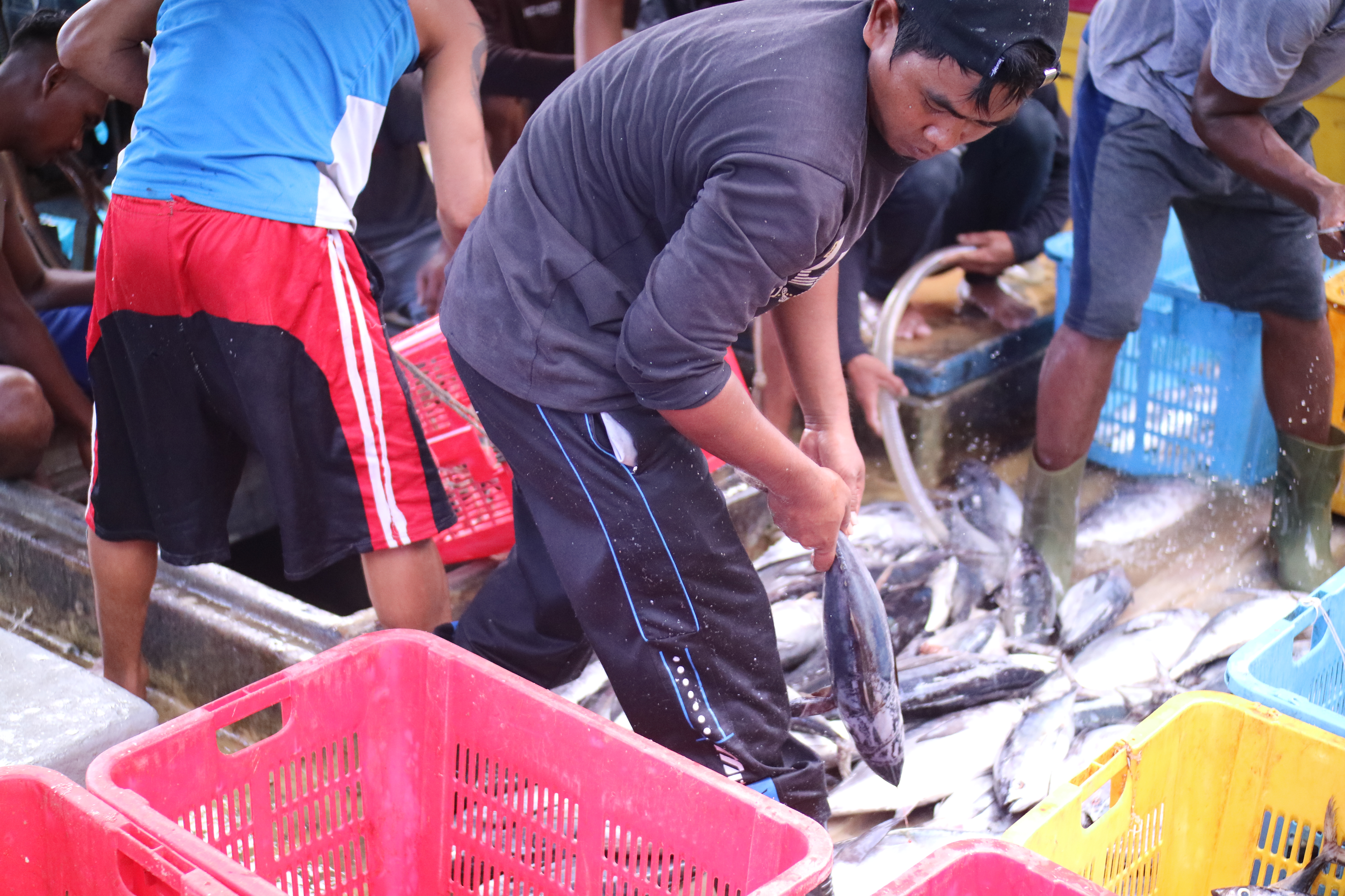 Aktivitas perikanan di pasar ikan. 