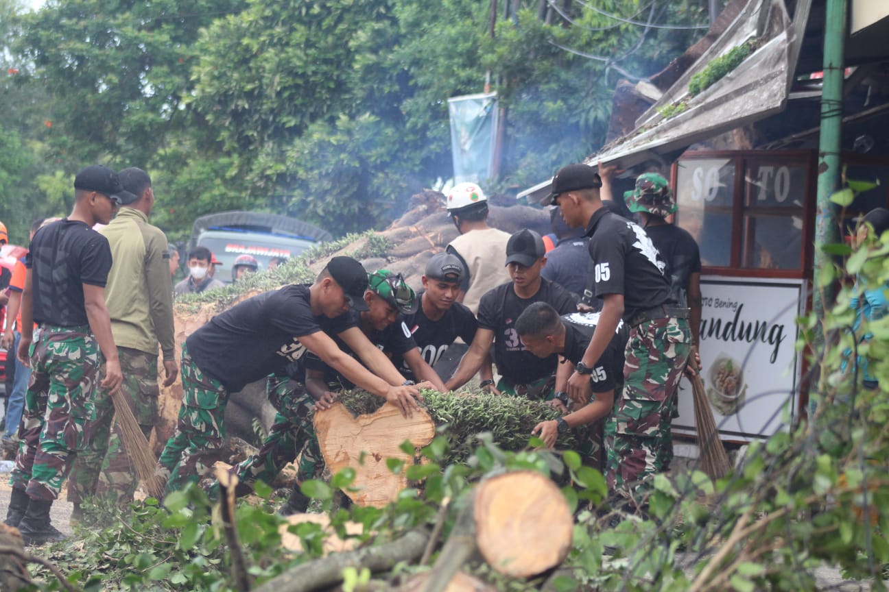 Prajurit Batalyon Infanteri 300 Raider/Bjw membantu evakuasi pohon tumbang di ruas Jalan Siliwangi, Cianjur, Sabtu (4/2).  