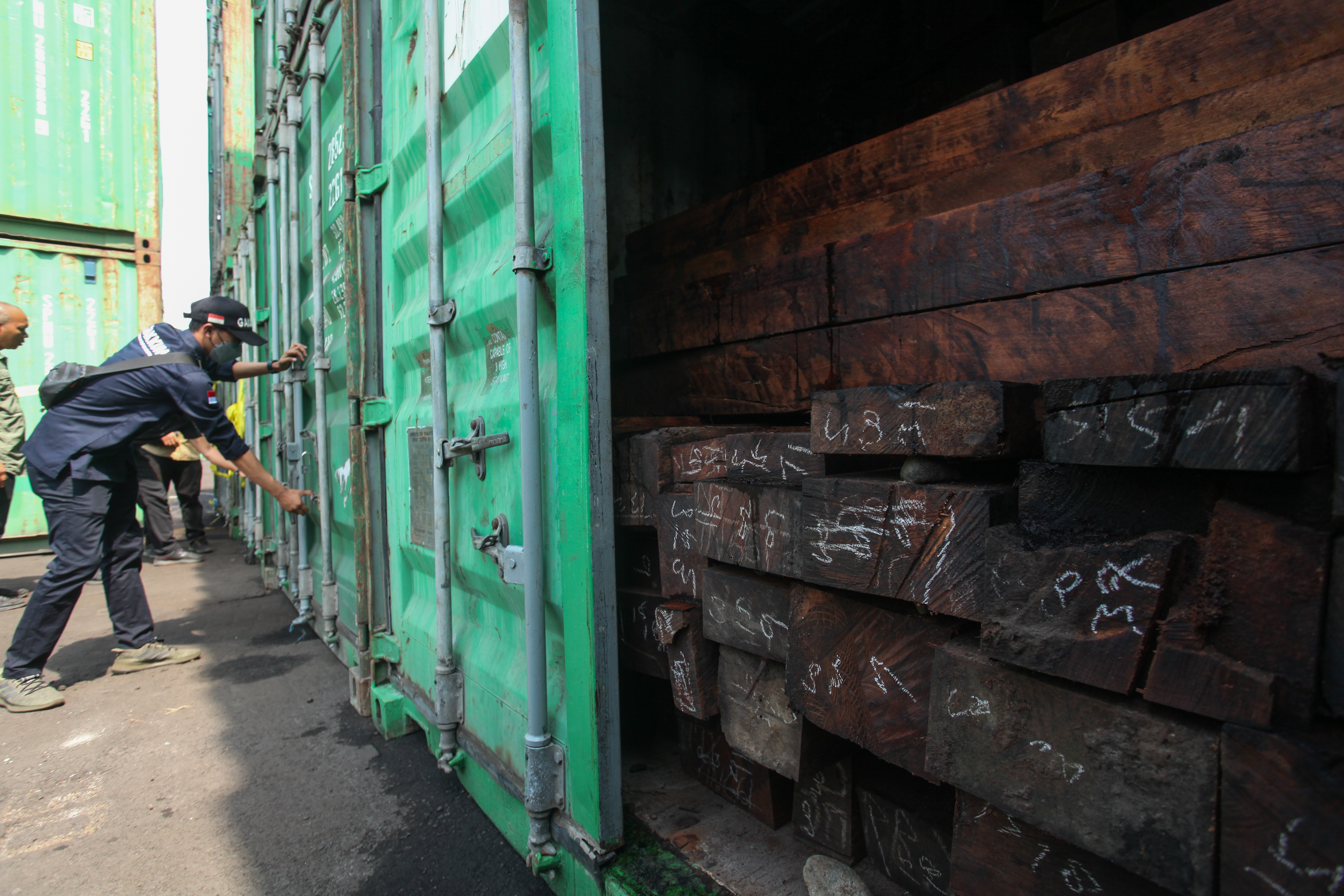 PENYELUNDUPAN KAYU: Petugas membuka barang bukti kontainer yang berisi kayu Merbau di Pelabuhan Tanjung Perak, Surabaya.