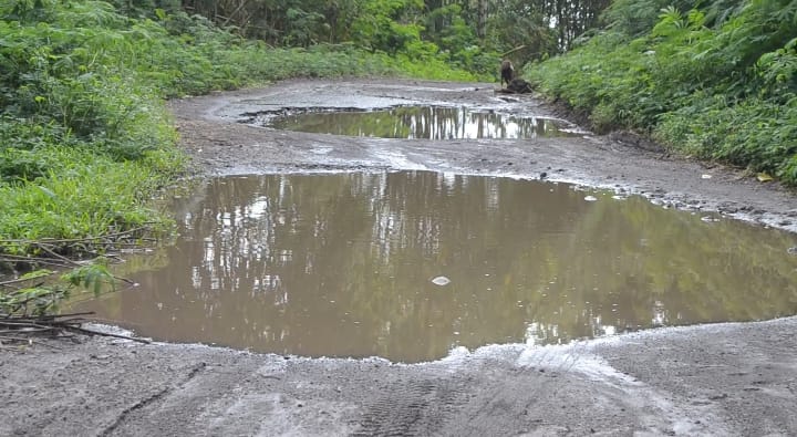 Kondisi jalan berlubang menuju kawasan wisata di Kampung Lamalera Rusak parah sepanjang 10 km.