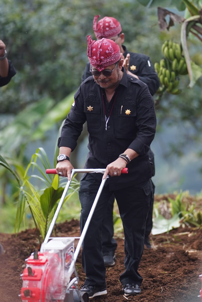 Mentan SYL melakukan penanaman kelapa genjah