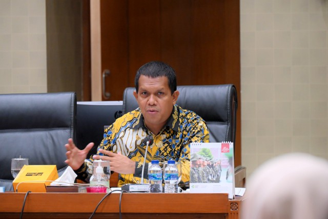 Wakil ketua Komisi IX DPR RI Emanuel Melkiades Laka Lena. 