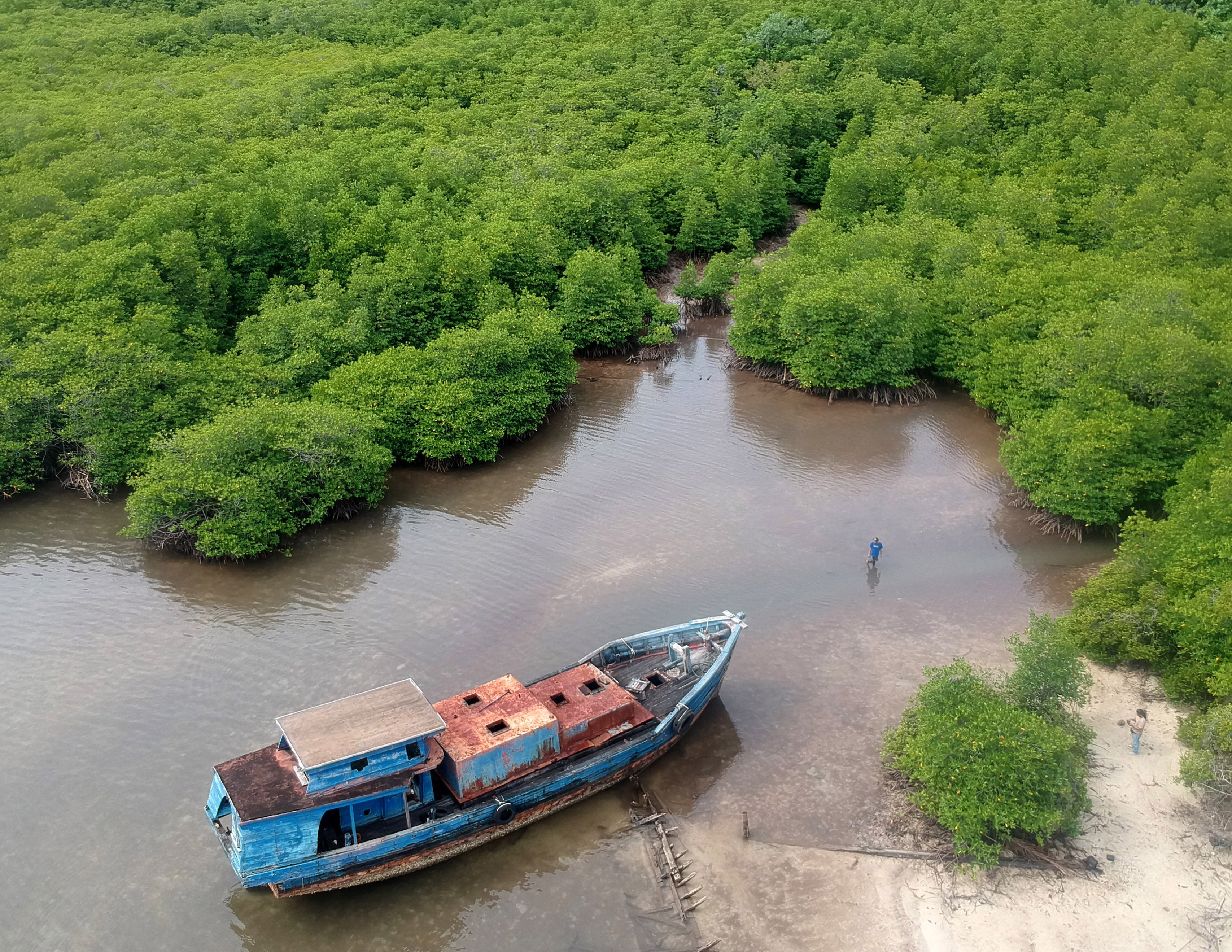 Ilustrasi: foto udara warga berada di hutan mangrove Teluk Buo Padang, Sumatera Barat, Kamis (2/2/2023). 