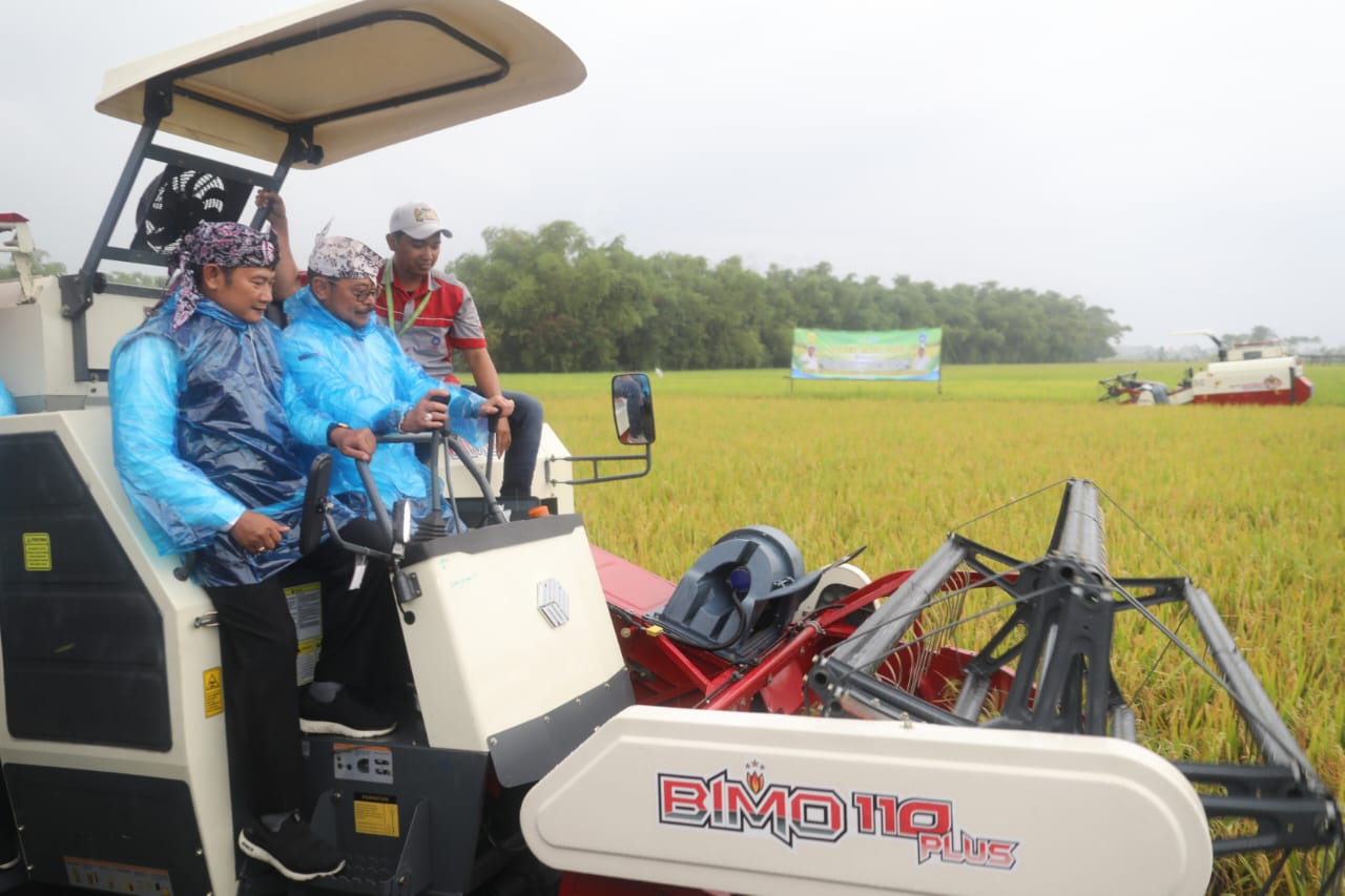 Mentan SYL panen raya di Lamongan, Jawa Timur