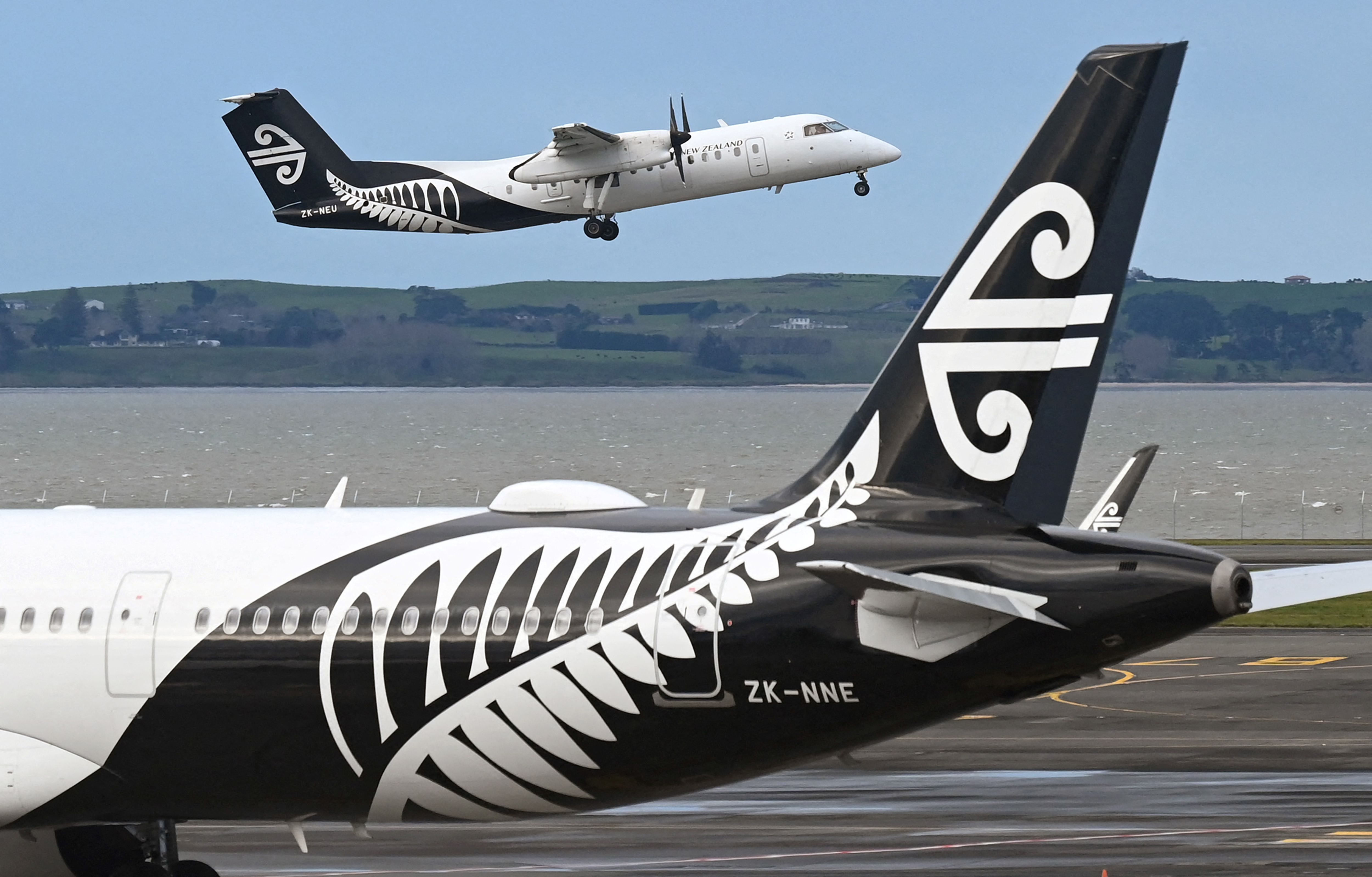 Pesawat Air New Zealand.