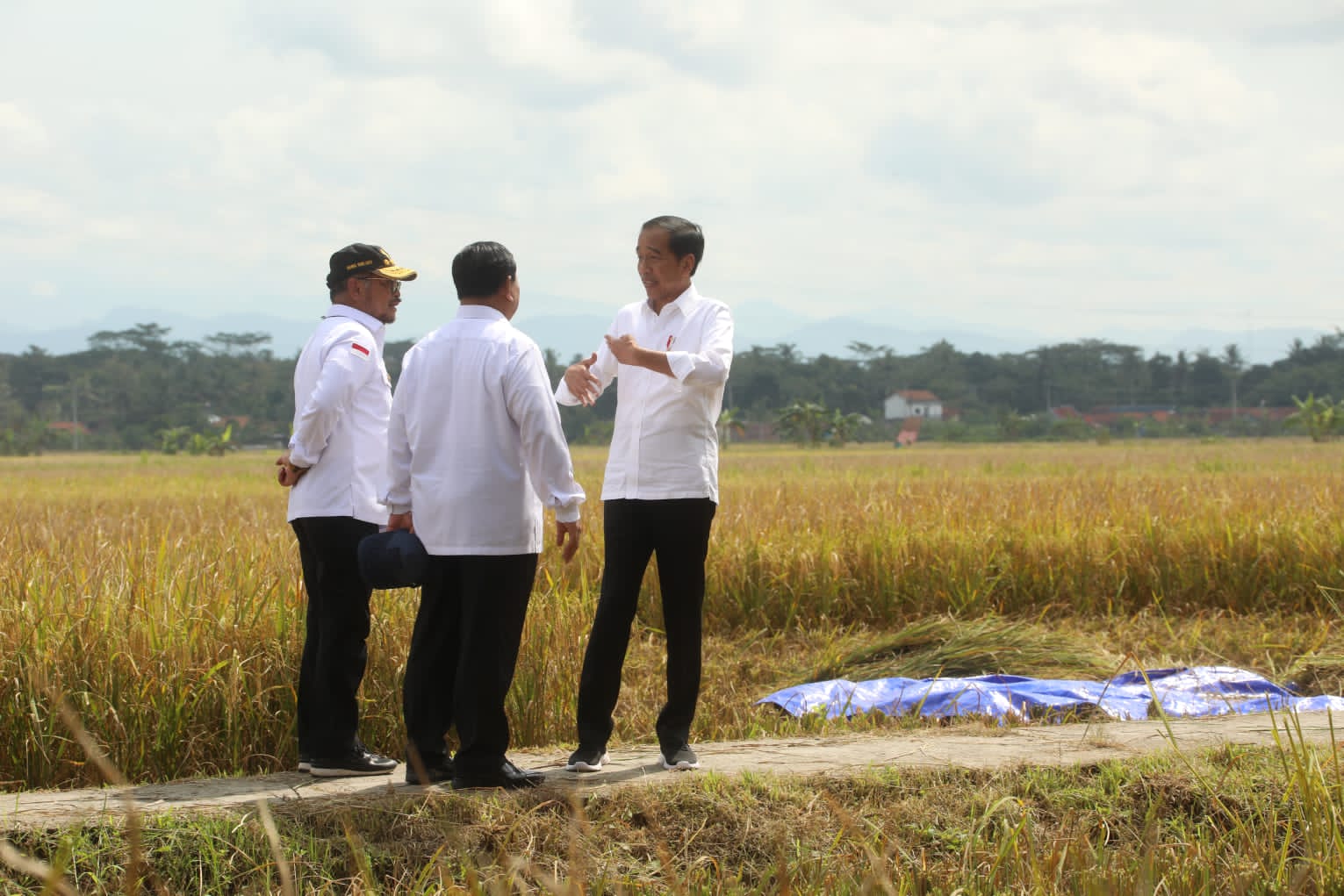  Mentan SYL mendampingi Presiden Jokowi dalam panen raya Nusantara di Kabupaten Kebumen, Jawa Tengah, Kamis (9/3/2023).