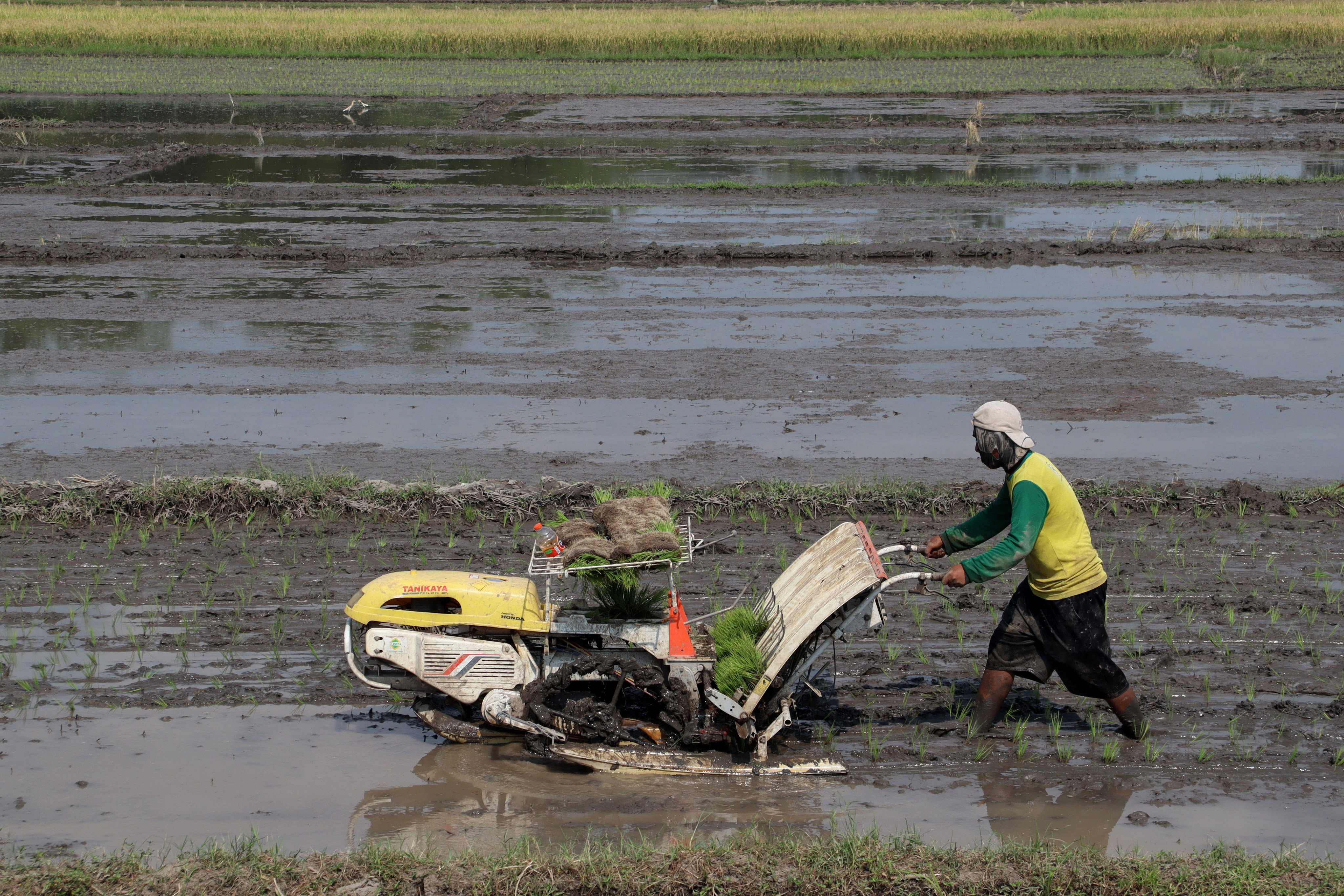 Mekanisasi alat pertanian mendorong peningkatan produktivitas petani