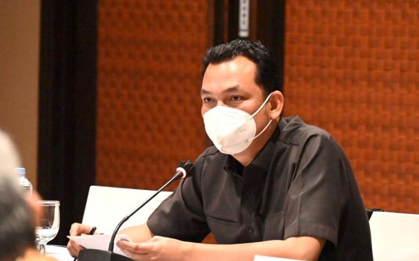 Wakil Ketua Komisi VI DPR RI Martin Manurung 