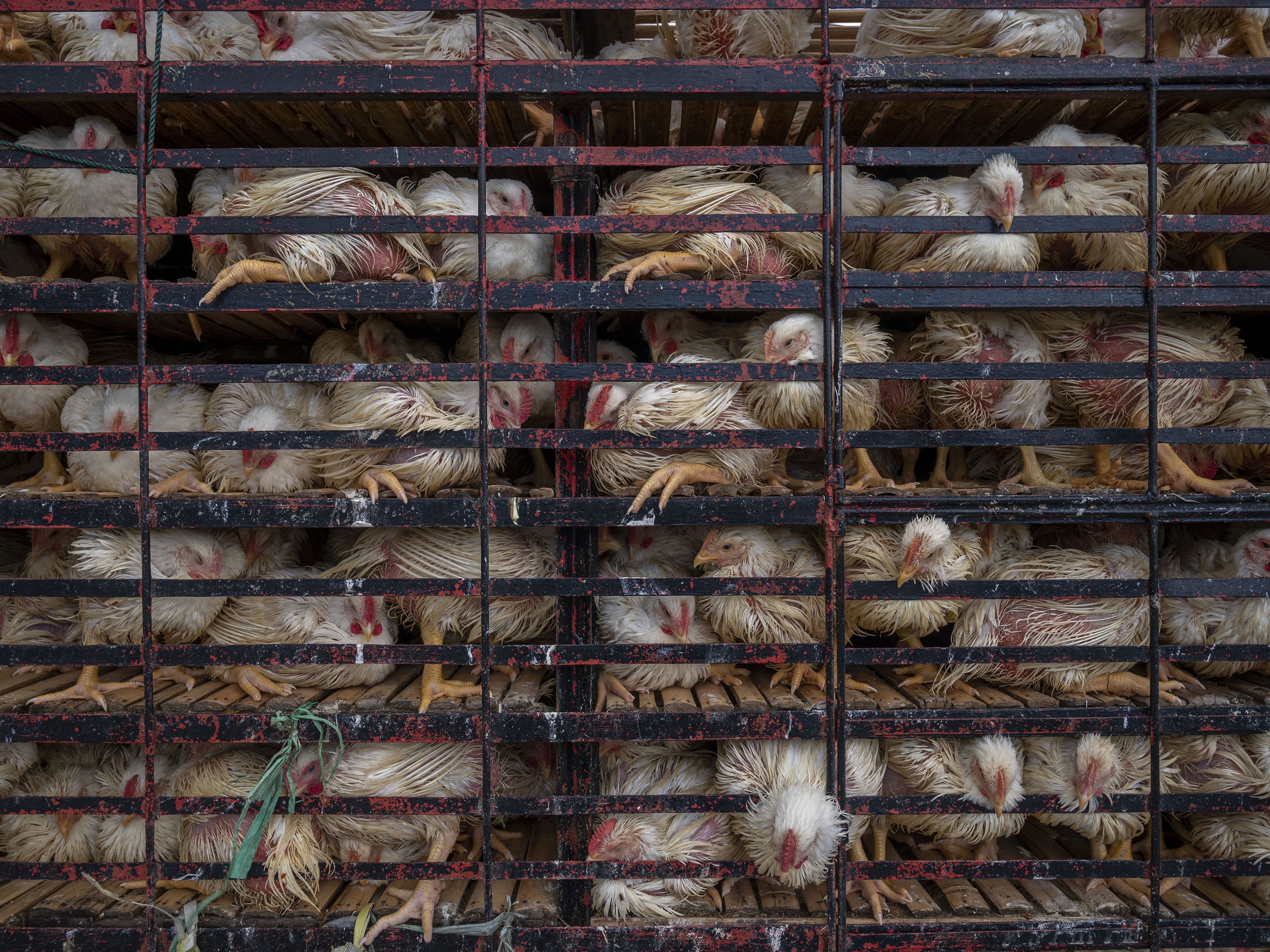 Lebaran Jangan Ganggu Distribusi Logistik agar Terhindar Inflasi