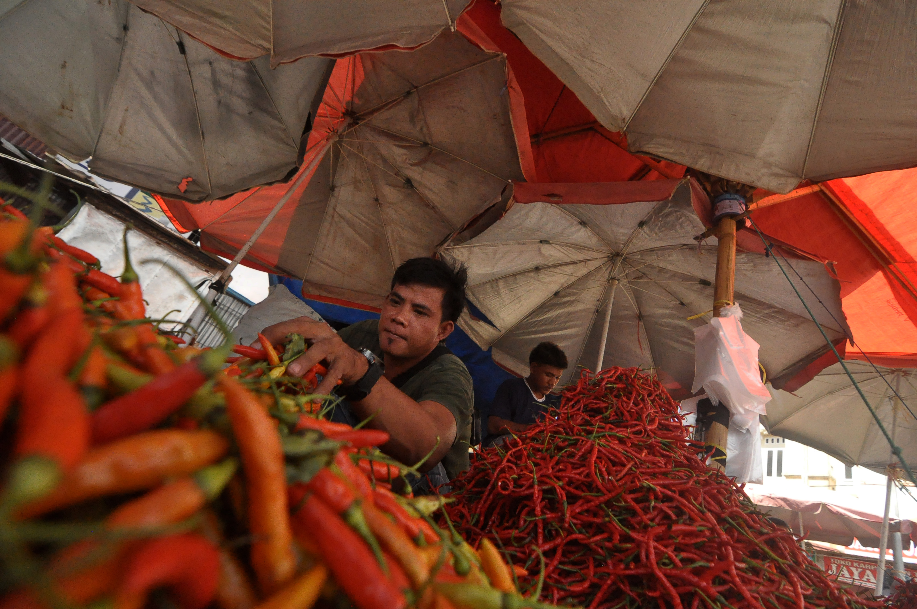 Pedagang cabai rawit sedang melayani pembeli di pasar