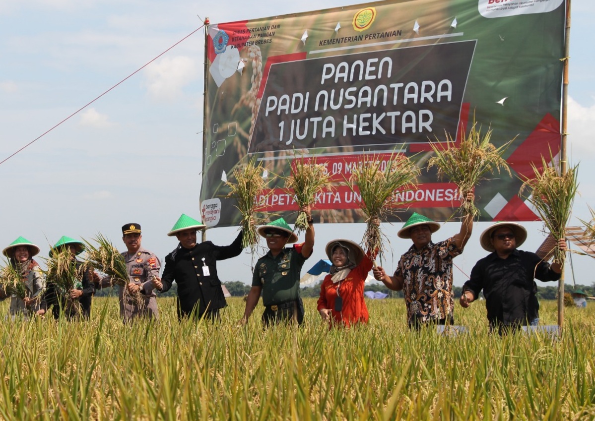 Panen Padi Nusantara 1 Juta Hektare di Kabupaten Klaten, Jawa Tengah.