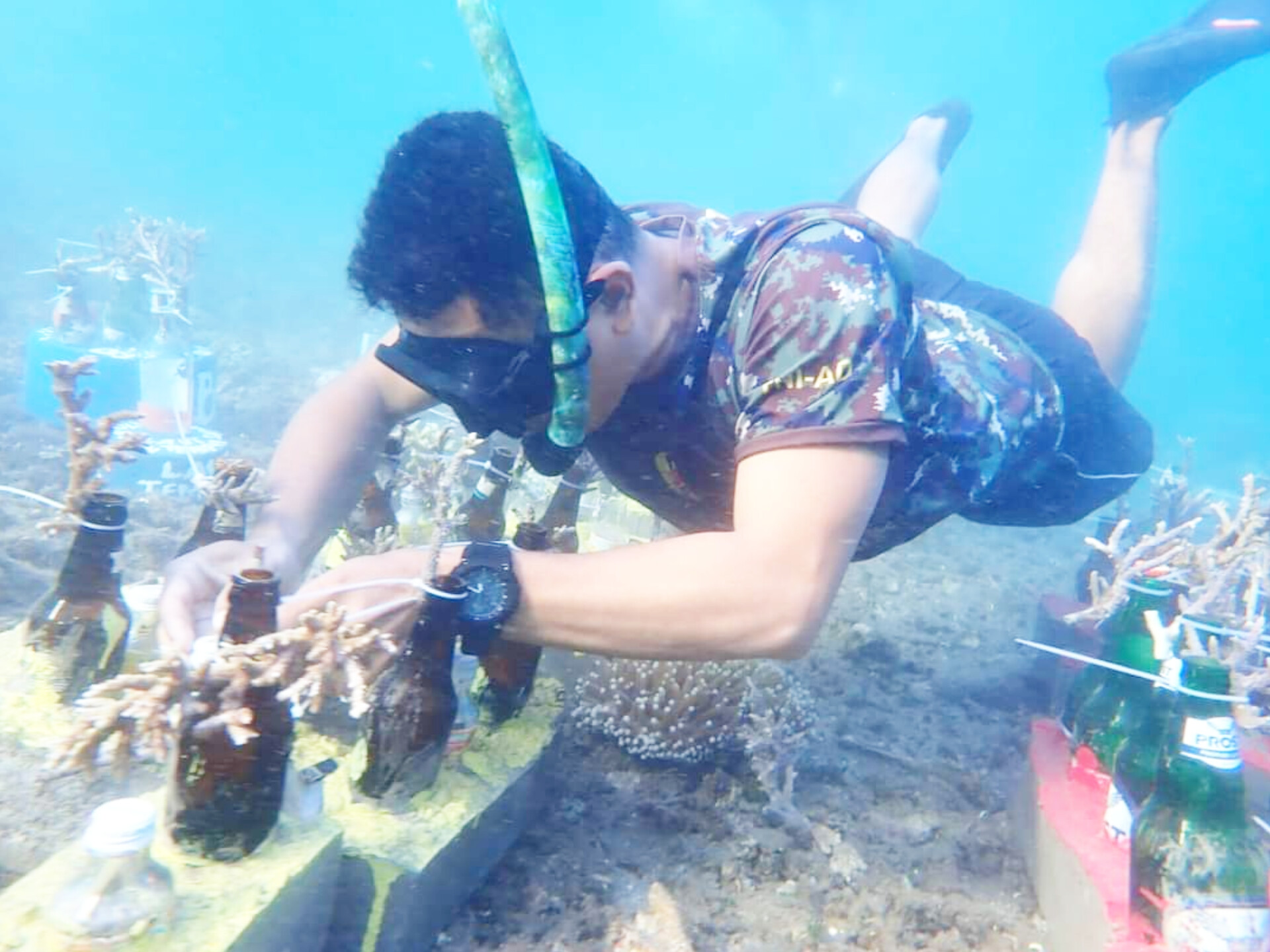 Anggota Kodim Flotim sedang menanam terumbu karang.