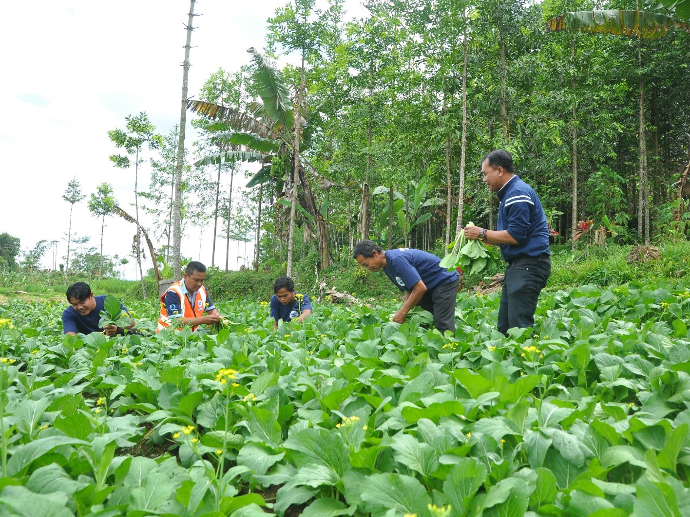 Kegiatan pertanian lestari untuk menjaga penggunaan air secara efisien.