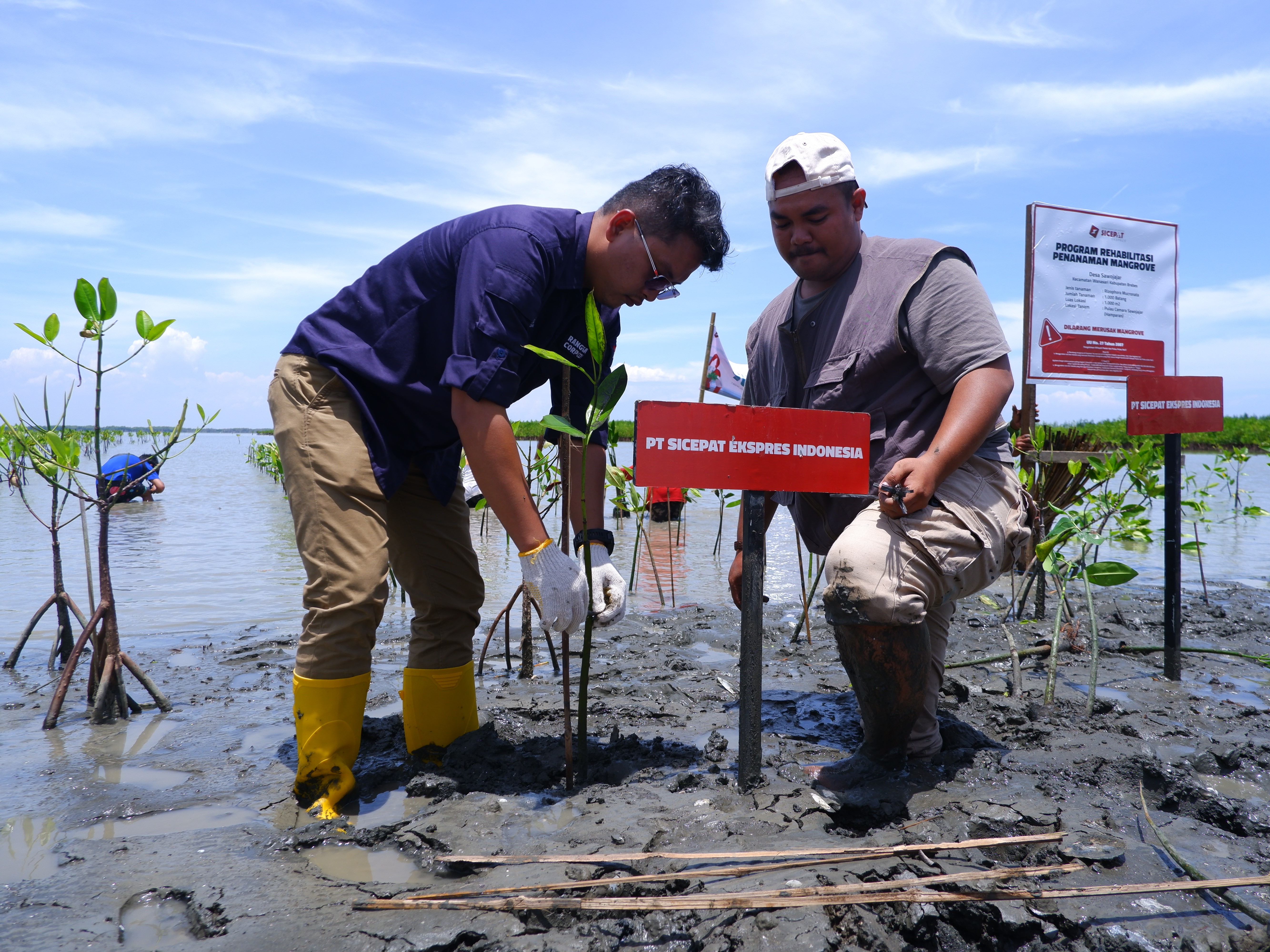 Rangga Andriana (kanan) bersama Bangkit saat penanaman bibit mangrove di Brebes, Jawa Tengah.