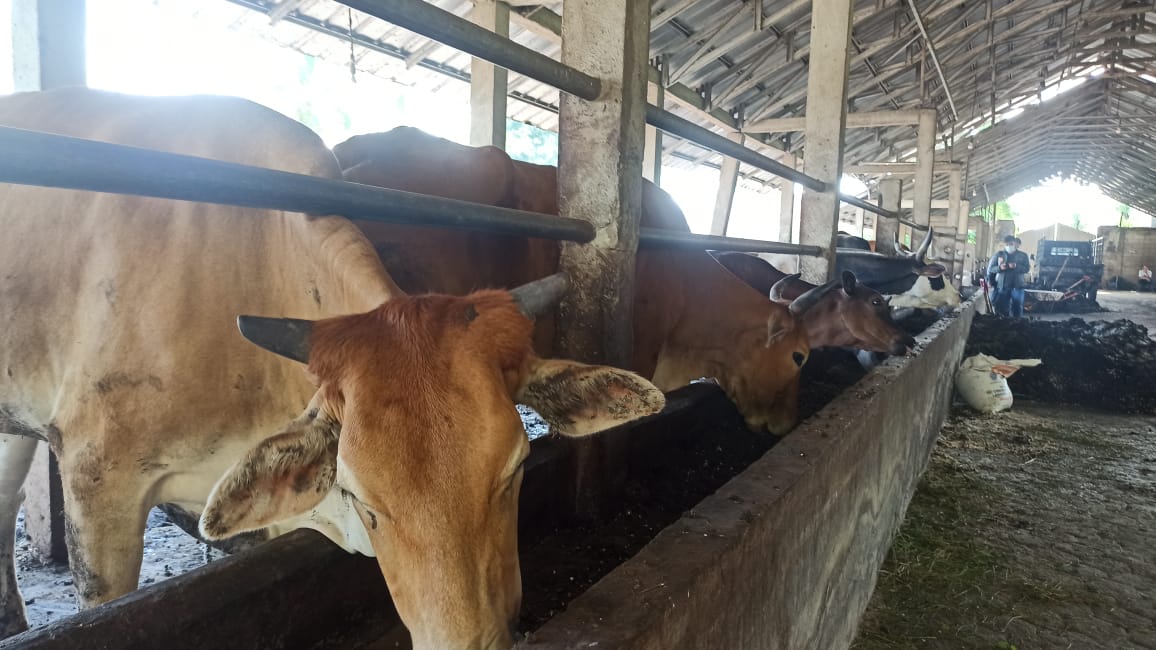 Pemerintah Antispasi Penularan Zoonosis dan Penyakit Infeksi Baru di Indonesia