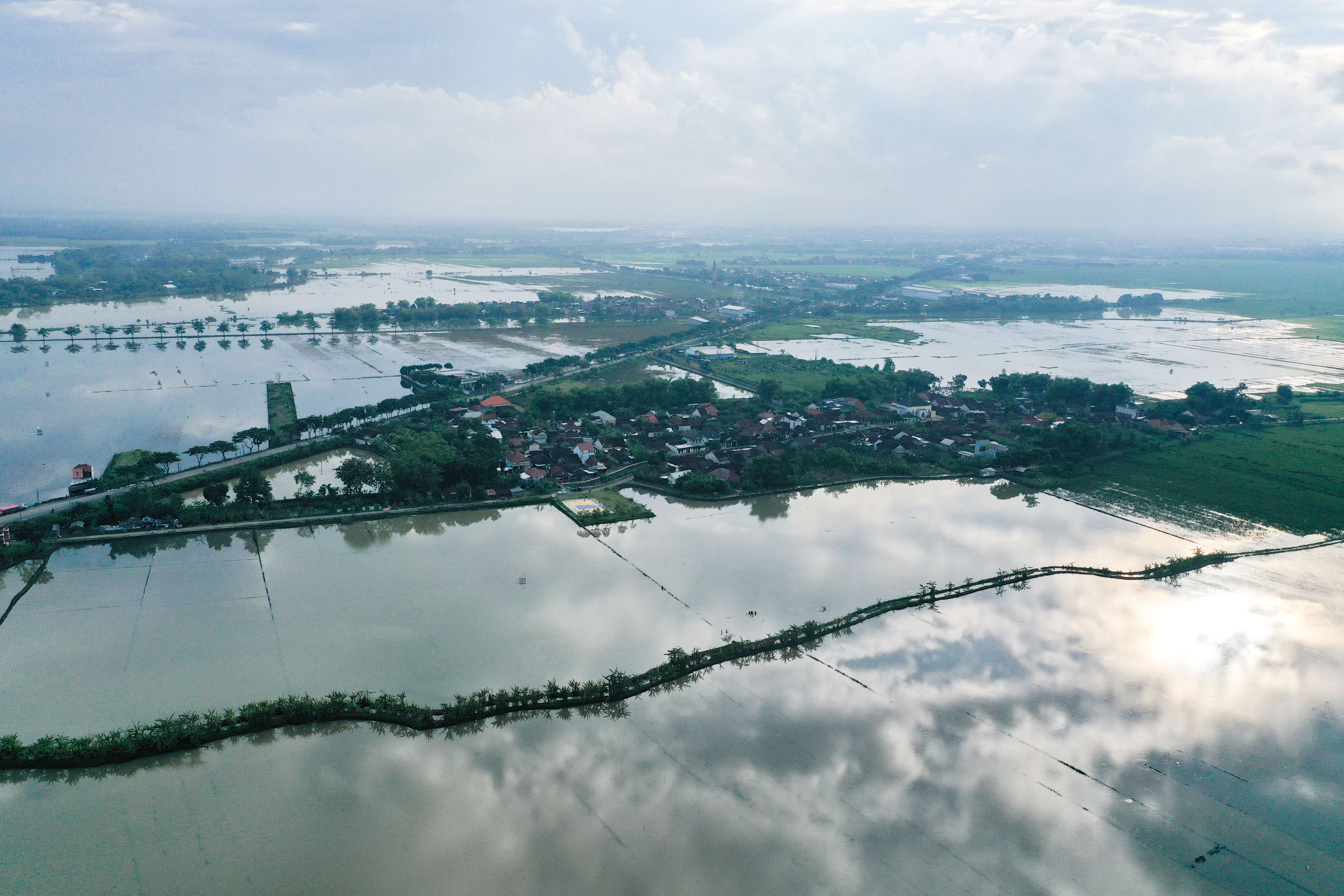Ilustrasi: Foto udara sawah milik petani yang masih terendam banjir