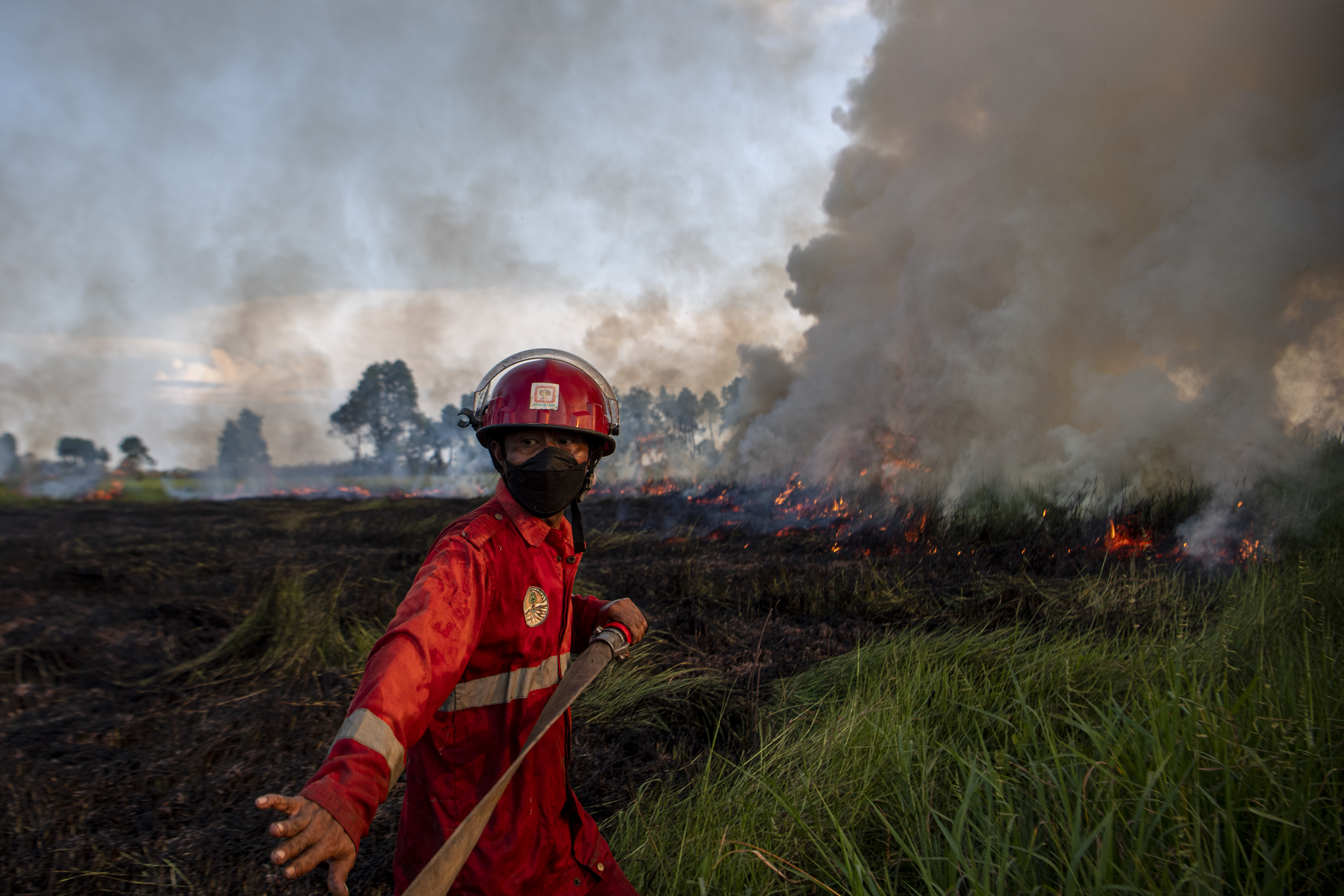 Petugas Manggala Agni Daops Banyuasin berusaha memadamkan Kebakaran Lahan di Desa Sukarame, Ogan Ilir, Sumatra Selatan, pada Juni 2022.