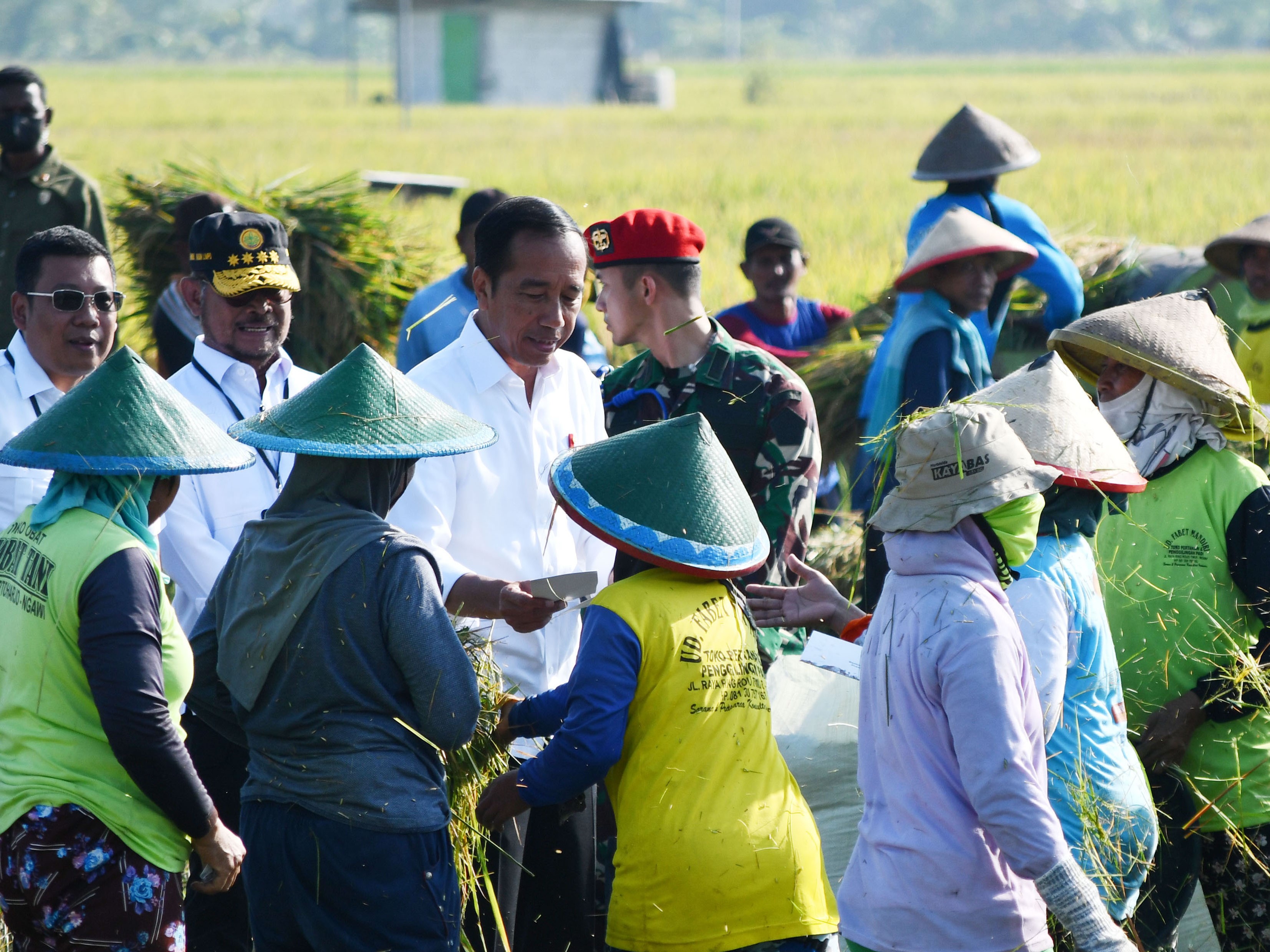 Presiden Joko Widodo berbincang dengan sejumlah petani saat meninjau panen raya padi dalam kunjungan kerjanya di Ngawi, Jatim. 