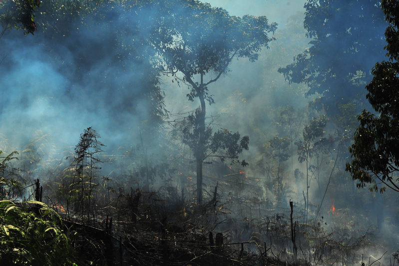 Menuju Musim Kemarau, Sumbar Bersiaga Hadapi Karhutla