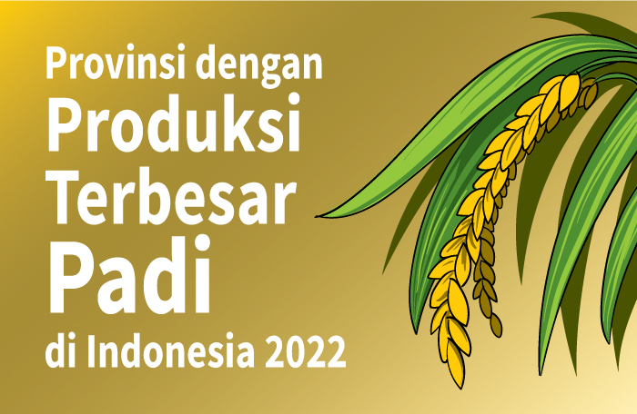 Sumber: BPS/Litbang MI/ Grafis: CAKSONO